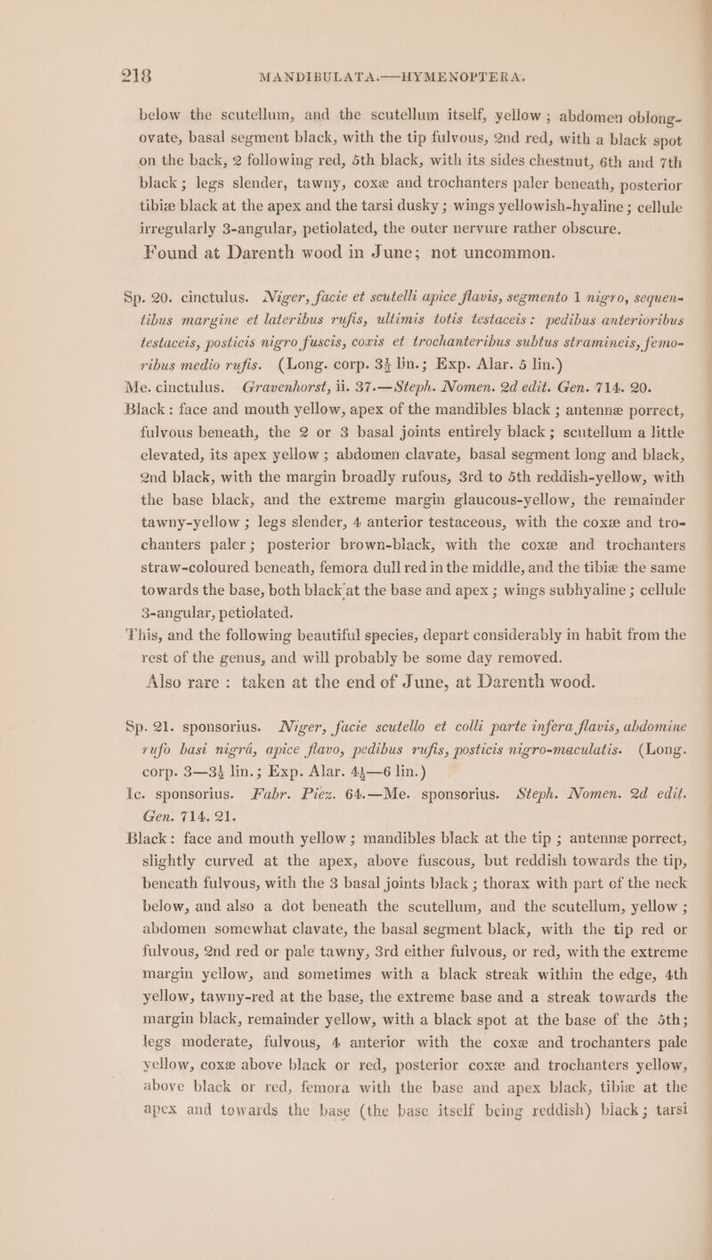 below the scutellum, and the scutellum itself, yellow ; abdomen oblong- ovate, basal segment black, with the tip fulvous, 2nd red, with a black spot on the back, 2 following red, 5th black, with its sides chestnut, 6th and 7th black ; legs slender, tawny, coxe and trochanters paler beneath, posterior tibize black at the apex and the tarsi dusky ; wings yellowish-hyaline ; cellule irregularly 3-angular, petiolated, the outer nervure rather obscure. Found at Darenth wood in June; not uncommon. Sp. 20. cinctulus. Mger, facie et scutell apice flavis, segmento 1 nigro, sequen- tibus margine et lateribus rufis, ultimis totis testaceis: pedibus anterioribus testacets, posticis nigro fuscis, covrs et trochanteribus subtus stramineis, femo- ribus medio rufis. (Long. corp. 3§ lin.; Exp. Alar. 5 lin.) Me. cinctulus. Gravenhorst, ii. 37.—Steph. Nomen. 2d edit. Gen. 714. 20. Black: face and mouth yellow, apex of the mandibles black ; antenne porrect, fulvous beneath, the 2 or 3 basal joints entirely black; scutellum a little elevated, its apex yellow ; abdomen clavate, basal segment long and black, 2nd black, with the margin broadly rufous, 3rd to 5th reddish-yellow, with the base black, and the extreme margin glaucous-yellow, the remainder tawny-yellow ; legs slender, 4 anterior testaceous, with the coxe and tro- chanters paler; posterior brown-biack, with the cox and trochanters straw-coloured beneath, femora dull red inthe middle, and the tibie the same towards the base, both black'at the base and apex ; wings subhyaline ; cellule 3-angular, petiolated. This, and the following beautiful species, depart considerably in habit from the rest of the genus, and will probably be some day removed. Also rare : taken at the end of June, at Darenth wood. Sp. 21. sponsorius. Niger, facie scutello et colli parte infera flavis, abdomine rufo basi nigra, apice flavo, pedibus rufis, posticis nigro-maculatis. (Long. corp. 3—3$ lin.; Exp. Alar. 41—6 lin. ) Ic. sponsorius. Fabr. Piez. 64.—Me. sponsorius. Steph. Nomen. 2d edit. Gen. 714, 21. Black: face and mouth yellow; mandibles black at the tip ; antenne porrect, slightly curved at the apex, above fuscous, but reddish towards the tip, beneath fulvous, with the 3 basal joints black ; thorax with part of the neck below, and also a dot beneath the scutellum, and the scutellum, yellow ; abdomen somewhat clavate, the basal segment black, with the tip red or fulvous, 2nd red or pale tawny, 3rd either fulvous, or red, with the extreme margin yellow, and sometimes with a black streak within the edge, 4th yellow, tawny-red at the base, the extreme base and a streak towards the margin black, remainder yellow, with a black spot at the base of the 5th; legs moderate, fulvous, 4 anterior with the coxe and trochanters pale yellow, coxe above black or red, posterior coxe and trochanters yellow, above black or red, femora with the base and apex black, tibie at the apex and towards the base (the base itself being reddish) black ; tarsi