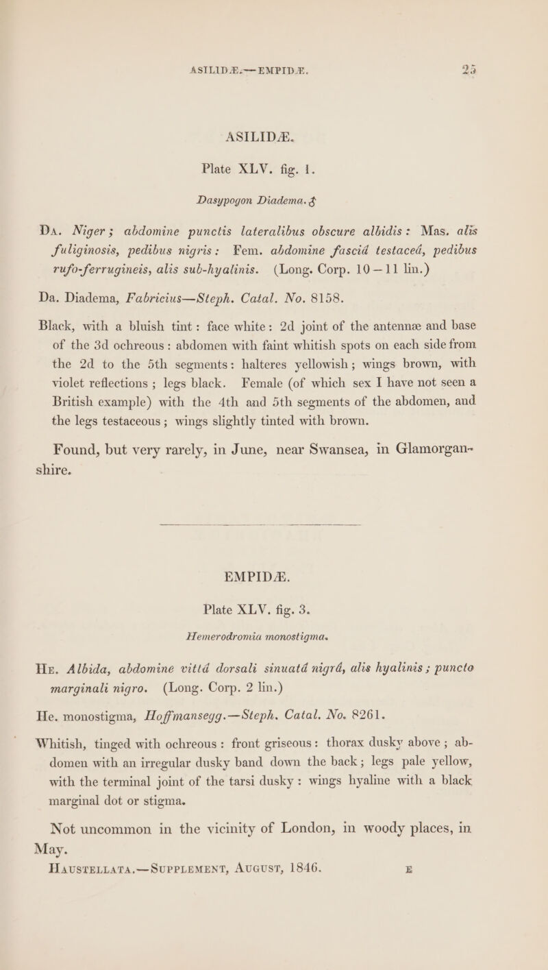 ho ahi ASILID H-—EMPID®. ASILIDA. Plate XLV. fig. i. Dasypogon Diadema. &amp; Da. Niger; abdomine punctis lateralibus obscure albidis: Mas. alis fuliginosis, pedibus nigris: Fem. abdomine fascid testaced, pedidus rufo-ferrugineis, alis sub-hyalinis. (Long. Corp. 10—11 lin.) Da. Diadema, Fabricitus—Steph. Catal. No. 8158. Black, with a bluish tint: face white: 2d joint of the antennz and base of the 3d ochreous : abdomen with faint whitish spots on each side from the 2d to the 5th segments: halteres yellowish; wings brown, with violet reflections ; legs black. Female (of which sex I have not seen a British example) with the 4th and 5th segments of the abdomen, and the legs testaceous ; wings slightly tinted with brown. Found, but very rarely, in June, near Swansea, in Glamorgan- shire. EMPID. Plate XLV. fig. 3. Hemerodromia monostigma. He. Albida, abdomine vittd dorsali sinuatd nigrd, alts hyalinas ; puncto marginali nigro. (Long. Corp. 2 lin.) He. monostigma, Hoffmansegg.—Steph,. Catal, No. 8261. Whitish, tinged with ochreous: front griseous: thorax dusky above ; ab- domen with an irregular dusky band down the back; legs pale yellow, with the terminal joint of the tarsi dusky : wings hyaline with a black marginal dot or stigma. Not uncommon in the vicinity of London, in woody places, in May. HavstELLATA.—SUPPLEMENT, AuGusT, 1846. E