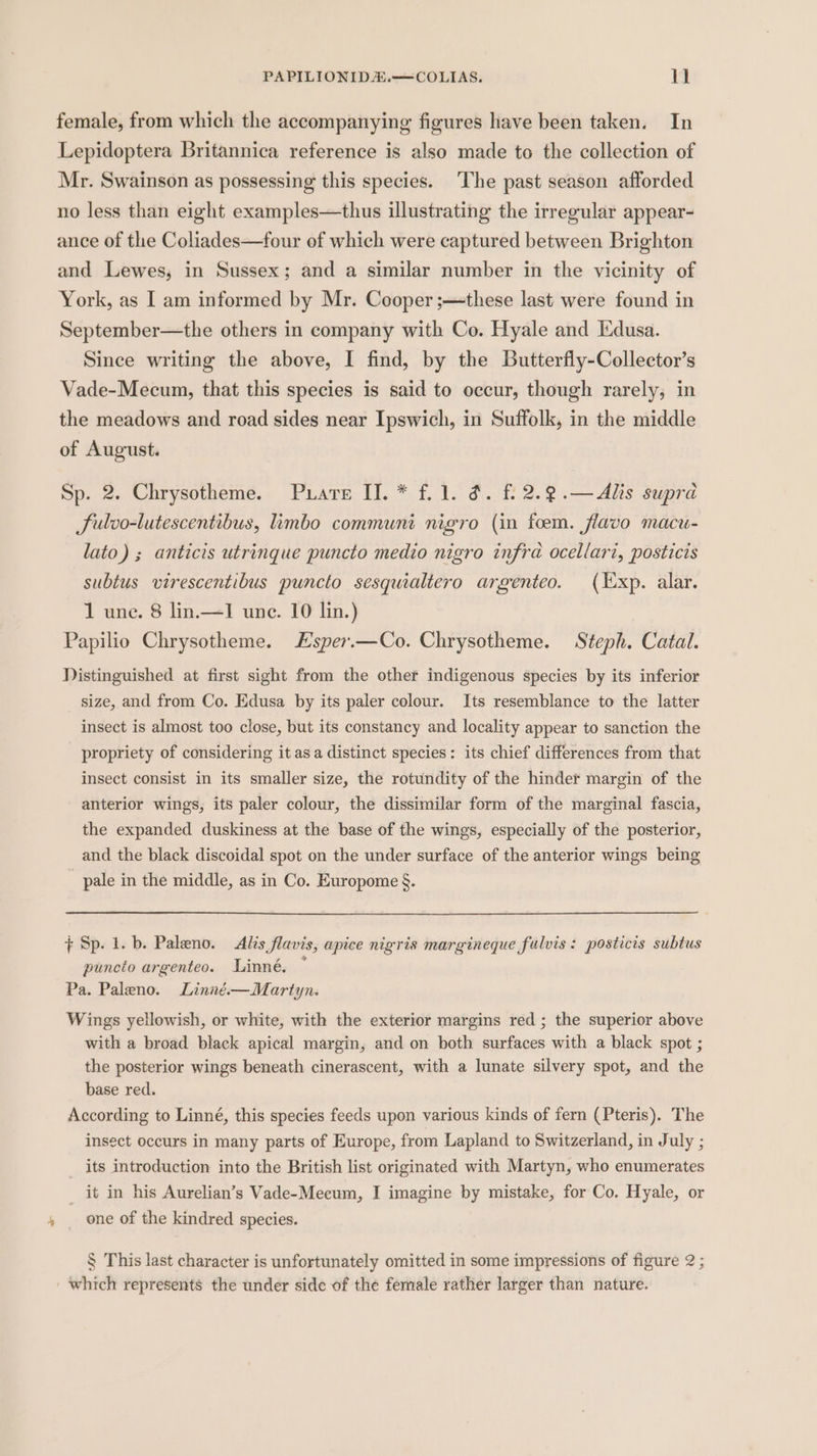 female, from which the accompanying figures have been taken. In Lepidoptera Britannica reference is also made to the collection of Mr. Swainson as possessing this species. ‘The past season afforded no less than eight examples—thus illustrating the irregular appear- ance of the Coliades—four of which were captured between Brighton and Lewes, in Sussex; and a similar number in the vicinity of York, as I am informed by Mr. Cooper ;—these last were found in September—the others in company with Co. Hyale and Edusa. Since writing the above, I find, by the Butterfly-Collector’s Vade-Mecum, that this species is said to occur, though rarely, in the meadows and road sides near Ipswich, in Suffolk, in the middle of August. Sp. 2. Chrysotheme. Puare II. * f. 1. &amp;. f 2.9.—Alis supra Sulvo-lutescentibus, limbo communi nigro (in foem. flavo macu- lato) ; anticis utrinque puncto medio nigro infra ocellari, posticis subtus virescentibus puncto sesquialtero argenteo. (Exp. alar. 1 une. 8 lin.—I une. 10 lin.) Papilio Chrysotheme. Esper.—Co. Chrysotheme. Steph. Catal. Distinguished at first sight from the other indigenous species by its inferior size, and from Co. Edusa by its paler colour. Its resemblance to the latter insect is almost too close, but its constancy and locality appear to sanction the propriety of considering it asa distinct species: its chief differences from that insect consist in its smaller size, the rotundity of the hinder margin of the anterior wings, its paler colour, the dissimilar form of the marginal fascia, the expanded duskiness at the base of the wings, especially of the posterior, and the black discoidal spot on the under surface of the anterior wings being _ pale in the middle, as in Co. Europome &amp;. ¢ Sp. 1. b. Paleno. Alis flavis, apice nigris margineque fulvis: posticis subtus puncto argenteo. Linné, © Pa. Paleno. Linné.—Martyn. Wings yellowish, or white, with the exterior margins red ; the superior above with a broad black apical margin, and on both surfaces with a black spot ; the posterior wings beneath cinerascent, with a lunate silvery spot, and the base red. According to Linné, this species feeds upon various kinds of fern (Pteris). The insect occurs in many parts of Europe, from Lapland to Switzerland, in July ; _ its introduction into the British list originated with Martyn, who enumerates _ it in his Aurelian’s Vade-Mecum, I imagine by mistake, for Co. Hyale, or one of the kindred species. § This last character is unfortunately omitted in some impressions of figure 2 ; which represents the under side of the female rather larger than nature.