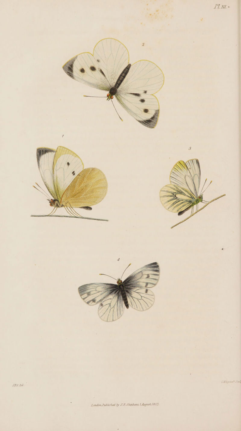TES De. LUNG