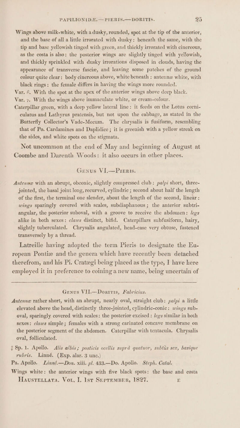 € 0S PAPILIONIDA.— PIERIS.—DORITIS. 5 Wings above milk-white, with a dusky, rounded, spot at the tip of the anterior, and the base of all a little irrorated with dusky: beneath the same, with the tip and base yellowish tinged with green, and thickly irrorated with cinereous, as the costa is also: the posterior wings are slightly tinged with yellowish, and thickly sprinkled with dusky irrorations disposed in clouds, having the appearance of transverse fascie, and leaving some patches of the ground colour quite clear: body cinereous above, white beneath : antenne white, with black rings: the female differs in having the wings more rounded. Var. 6. With the spot at the apex of the anterior wings above deep black. Var. y. With the wings above immaculate white, or cream-colour. Caterpillar green, with a deep yellow lateral line: it feeds on the Lotus corni- culatus and Lathyrus pratensis, but not upon the cabbage, as stated in the Butterfly Collector’s Vade-Mecum. The chrysalis is fusiform, resembling that of Po. Cardamines and Daplidice ; it is greenish with a yellow streak on the sides, and white spots on the stigmata. Not uncommon at the end of May and beginning of August at Coombe and Darenth Woods: it also occurs in other places. Genus VI,—PIEr 1s. Antenne with an abrupt, obconic, slightly compressed club: palpi short, three- jointed, the basal joint long, recurved, cylindric ; second about half the length of the first, the terminal one slender, about the length of the second, linear : wings sparingly covered with scales, subdiaphanous ; the anterior subtri- angular, the posterior suboval, with a groove to receive the abdomen: legs alike in both sexes: claws distinct, bifid. Caterpillars subfusiform, hairy, slightly tuberculated. Chrysalis angulated, head-case very obtuse, fastened transversely by a thread. Latreille having adopted the term Pieris to designate the Ku- ropean Pontiz and the genera which have recently been detached therefrom, and his Pi. Cratzgi being placed as the type, I have here employed it in preference to coining a new name, being uncertain of Genus VII.—Doritis, Fabricius. Antenne rather short, with an abrupt, nearly oval, straight club: palpi a little elevated above the head, distinctly three-jointed, cylindric-conic: wings sub- oval, sparingly covered with scales: the posterior excised : legs similar in both sexes: claws simple; females with a strong carinated concave membrane on the posterior segment of the abdomen. Caterpillar with tentacula. Chrysalis oval, folliculated. j Sp. 1. Apollo. &lt;Alis albis; posticis ocellis supra quatuor, subtis sex, hasique rubris. Linné. (Exp. alar. 3 unc.) Pa. Apollo. Linné.—Don. xiii. pl. 433.—Do. Apollo. Steph. Catal. Wings white: the anterior wings with five black spots: the base and costa Haustrevuata. Vou. I. lst SepremBer, 1827. E