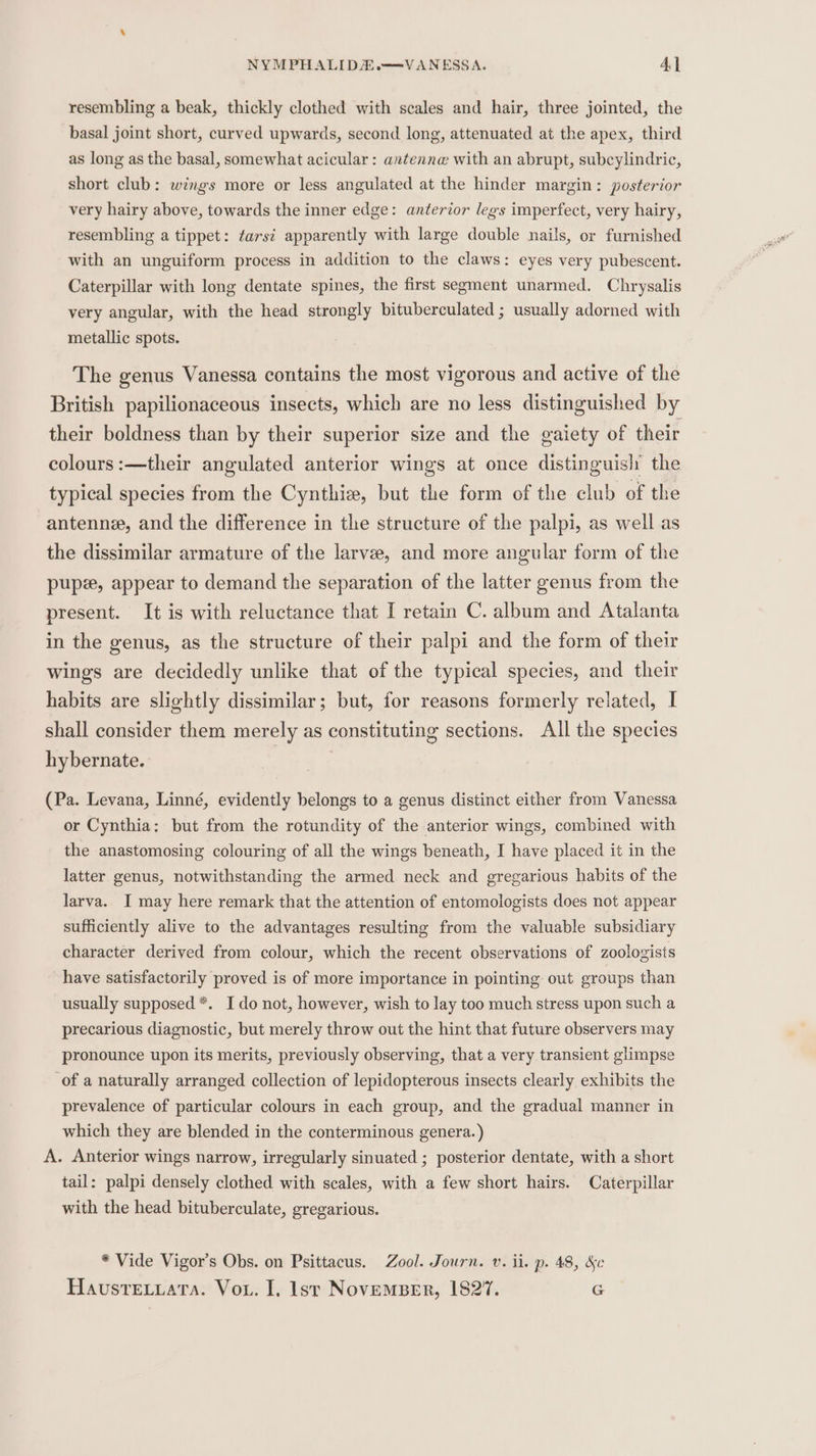 resembling a beak, thickly clothed with scales and hair, three jointed, the basal joint short, curved upwards, second long, attenuated at the apex, third as long as the basal, somewhat acicular: antenna with an abrupt, subcylindric, short club: wings more or less angulated at the hinder margin: posterior very hairy above, towards the inner edge: anterior legs imperfect, very hairy, resembling a tippet: ars? apparently with large double nails, or furnished with an unguiform process in addition to the claws: eyes very pubescent. Caterpillar with long dentate spines, the first segment unarmed. Chrysalis very angular, with the head strongly bituberculated ; usually adorned with metallic spots. The genus Vanessa contains the most vigorous and active of the British papilionaceous insects, which are no less distinguished by their boldness than by their superior size and the gaiety of their colours:—their angulated anterior wings at once distinguish the typical species from the Cynthiz, but the form of the club of the antenne, and the difference in the structure of the palpi, as well as the dissimilar armature of the larve, and more angular form of the pup, appear to demand the separation of the latter genus from the present. It is with reluctance that I retain C. album and Atalanta in the genus, as the structure of their palpi and the form of their wings are decidedly unlike that of the typical species, and their habits are slightly dissimilar; but, for reasons formerly related, I shall consider them merely as constituting sections. All the species hybernate. (Pa. Levana, Linné, evidently belongs to a genus distinct either from Vanessa or Cynthia: but from the rotundity of the anterior wings, combined with the anastomosing colouring of all the wings beneath, I have placed it in the latter genus, notwithstanding the armed neck and gregarious habits of the larva. I may here remark that the attention of entomologists does not appear sufficiently alive to the advantages resulting from the valuable subsidiary character derived from colour, which the recent observations of zoologists have satisfactorily proved is of more importance in pointing out groups than usually supposed *. I do not, however, wish to lay too much stress upon such a precarious diagnostic, but merely throw out the hint that future observers may pronounce upon its merits, previously observing, that a very transient glimpse of a naturally arranged collection of lepidopterous insects clearly exhibits the prevalence of particular colours in each group, and the gradual manner in which they are blended in the conterminous genera.) A. Anterior wings narrow, irregularly sinuated ; posterior dentate, with a short tail: palpi densely clothed with scales, with a few short hairs. Caterpillar with the head bituberculate, gregarious. * Vide Vigor’s Obs. on Psittacus. Zool. Journ. v. ii. p. 48, Se Hausretuata. Vor. I. lst NovEMBER, 1827. @