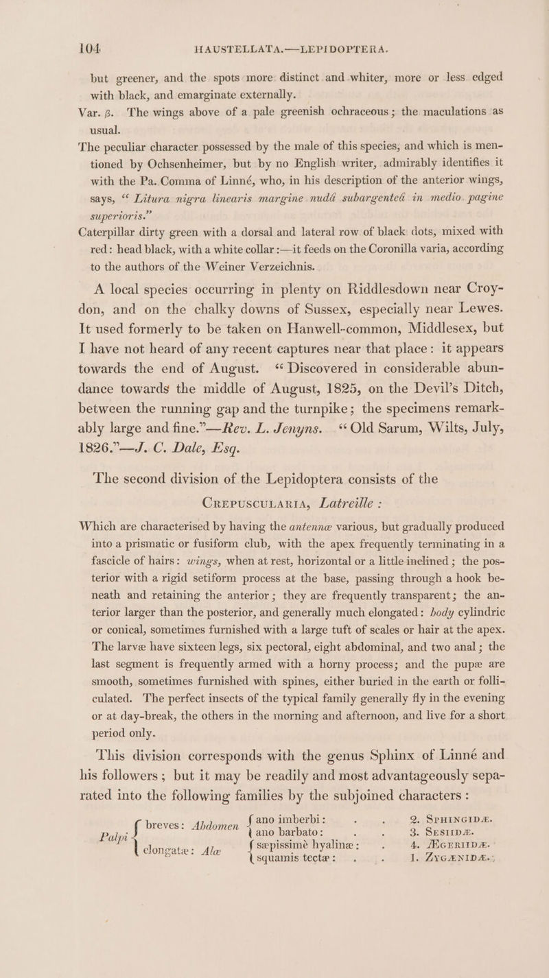 but greener, and the spots more: distinct.and whiter, more or less. edged with black, and emarginate externally. Var. 6. The wings above of a pale greenish ochraceous ; the maculations ‘as usual. The peculiar character possessed. by the male of this species, and which is men- tioned by Ochsenheimer, but by no English writer, admirably identifies it with the Pa. Comma of Linné, who, in his description of the anterior wings, says, “ Litura nigra linearis margine nuda subargented in medio. pagine superioris.” Caterpillar dirty green with a dorsal and lateral row of black: dots, mixed with red: head black, with a white collar :—it feeds on the Coronilla varia, according to the authors of the Weiner Verzeichnis. A local species occurring in plenty on Riddlesdown near Croy- don, and on the chalky downs of Sussex, especially near Lewes. It used formerly to be taken on Hanwell-common, Middlesex, but I have not heard of any recent captures near that place: it appears towards the end of August. ‘ Discovered in considerable abun- dance towards the middle of August, 1825, on the Devil’s Ditch, between the running gap and the turnpike; the specimens remark- ably large and fine.”—Rev. L. Jenyns. “Old Sarum, Wilts, July, 1826.”—J..C. Dale, Esq. The second division of the Lepidoptera consists of the CRrEPUSCULARIA, Latreille : Which are characterised by having the antenne various, but gradually produced into a prismatic or fusiform club, with the apex frequently terminating in a fascicle of hairs: wings, when at rest, horizontal or a little inclined ; the pos- terior with a rigid setiform process at the base, passing through a hook be- neath and retaining the anterior; they are frequently transparent; the an- terior larger than the posterior, and generally much elongated: body cylindric or conical, sometimes furnished with a large tuft of scales or hair at the apex. The larve have sixteen legs, six pectoral, eight abdominal, and two anal ; the last segment is frequently armed with a horny process; and the pupe are smooth, sometimes furnished with spines, either buried in the earth or folli- culated. The perfect insects of the typical family generally fly in the evening or at day-break, the others in the morning and afternoon, and live for a short period only. This division corresponds with the genus Sphinx of Linné and his followers ; but it may be readily and most advantageously sepa- rated into the following families by the subjoined characters : imberbi: : 2. SpHINGID&amp;. breves: Abdomen Agnes : Palyr (ano barbato: . . 3. SESIIDA. elonzate: Ale seepissimé hyaline : - 4. JEGERIIDE. = ¢ ° . 2 Squamis tecte: . : 1. ZYGENIDA.;
