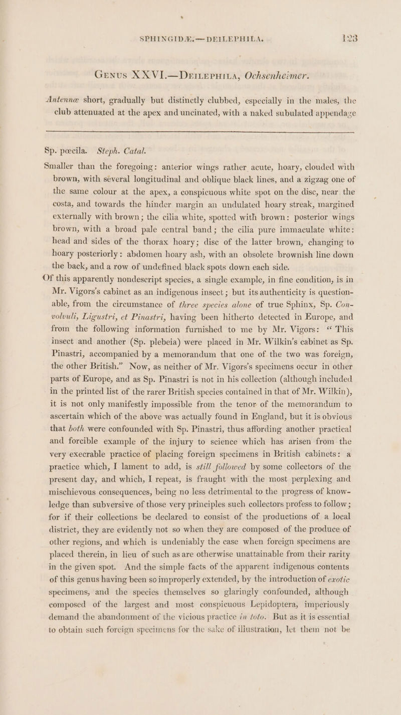 Genus XX VI.—Dermepuina, Ochsenheimer. Antenne short, gradually but distinctly clubbed, especially in the males, the club attenuated at the apex and uncinated, with a naked subulated appendaze Sp. peecila. Steph. Catal. Smaller than the foregoing: anterior wings rather acute, hoary, clouded with brown, with séveral longitudinal and oblique black lines, and a zigzag one of the same colour at the apex, a conspicuous white spot on the disc, near. the costa, and towards the hinder margin an undulated hoary streak, margined externally with brown; the cilia white, spotted with brown: posterior wings brown, with a broad pale central band; the cilia pure immaculate white: head and sides of the thorax hoary; disc of the latter brown, changing to hoary posteriorly: abdomen hoary ash, with an obsolete brownish line down the back, and a row of undefined black spots down each side. Of this apparently nondescript species, a single example, in fine condition, is in Mr. Vigors’s cabinet as an indigenous insect ; but its authenticity is question- able, from the circumstance of three species alone of true Sphinx, Sp. Con- volvuli, Ligustri, et Pinastri, having been hitherto detected in Europe, and from the following information furnished to me by Mr. Vigors: “ This insect and another (Sp. plebeia) were placed in Mr. Wilkin’s cabinet as Sp. Pinastri, accompanied by a memorandum that one of the two was foreign, the other British.” Now, as neither of Mr. Vigors’s specimens occur in other parts of Europe, and as Sp. Pinastri is not in his collection (although included in the printed list of the rarer British species contained in that of Mr. Wilkin), it is not only manifestly impossible from the tenor of the memorandum to ascertain which of the above was actually found in England, but it is obvious that both were confounded with Sp. Pinastri, thus affording another practical and forcible example of the injury to science which has arisen from the very execrable practice of placing foreign specimens in British cabinets: a practice which, I lament to add, is s¢il/ followed by some collectors of the present day, and which, I repeat, is fraught with the most perplexing and mischievous consequences, being no less detrimental to the progress of know- ledge than subversive of those very principles such collectors profess to follow ; for if their collections be declared to consist of the productions of a local district, they are evidently not so when they are composed of the produce of other regions, and which is undeniably the case when foreign specimens are placed therein, in lieu of such as are otherwise unattainable from their rarity in the given spot. And the simple facts of the apparent indigenous contents of this genus having been so improperly extended, by the introduction of exotic specimens, and the species themselves so glaringly confounded, although composed of the largest and most conspicuous Lepidoptera, imperiously demand the abandonment of the vicious practice in ¢ofo. But as it is essential to obtain such foreign specimens for the sake of illustration, let them not be