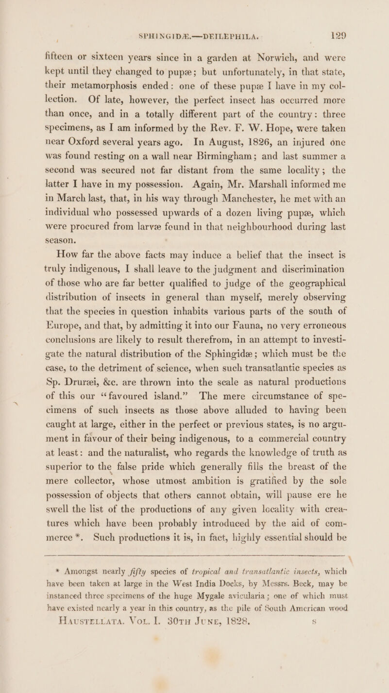 | fifteen or sixteen years since in a garden at Norwich, and were kept until they changed to pupe; but unfortunately, in that state, their metamorphosis ended: one of these pupe I have in my col- lection. Of late, however, the perfect insect has occurred more than once, and in a totally different part of the country: three specimens, as I am informed by the Rev. F. W. Hope, were taken near Oxford several years ago. In August, 1826, an injured one was found resting on a wall near Birmingham; and last summer a second was secured not far distant from the same locality; the latter I have in my possession. Again, Mr. Marshall informed me in March last, that, in his way through Manchester, he met with an individual who possessed upwards of a dozen living pupx, which were procured from larve feund in that neighbourhood during last season. How far the above facts may induce a belief that the insect is truly indigenous, I shall leave to the judgment and discrimination of those who are far better qualified to judge of the geographical distribution of insects in general than myself, merely observing that the species in question inhabits various parts of the south of Europe, and that, by admitting it into our Fauna, no very erroneous conclusions are likely to result therefrom, in an attempt to investi- gate the natural distribution of the Sphingide; which must be the case, to the detriment of science, when such transatlantic species as Sp. Drurei, &amp;c. are thrown into the scale as natural productions of this our “favoured island.” The mere circumstance of spe- cimens of such insects as those above alluded to having been caught at large, either in the perfect or previous states, is no argu- ment in favour of their being indigenous, to a commercial country at least: and the naturalist, who regards the knowledge of truth as superior to the false pride which generally fills the breast of the mere collector, whose utmost ambition is gratified by the sole possession of objects that others cannot obtain, will pause ere he swell the list of the productions of any given locality with crea- tures which have been probably introduced by the aid of com- merce *. Such productions it is, in fact, highly essential should be — * Amongst nearly fifty species of tropical and transatlantic insects, which have been taken at large in the West India Docks, by Messrs. Beck, may be instanced three specimens of the huge Mygale avicularia; one of which must have existed nearly a year in this country, as the pile of South American wood Haustevrata. Vout. I. 30TH June, 1828. s