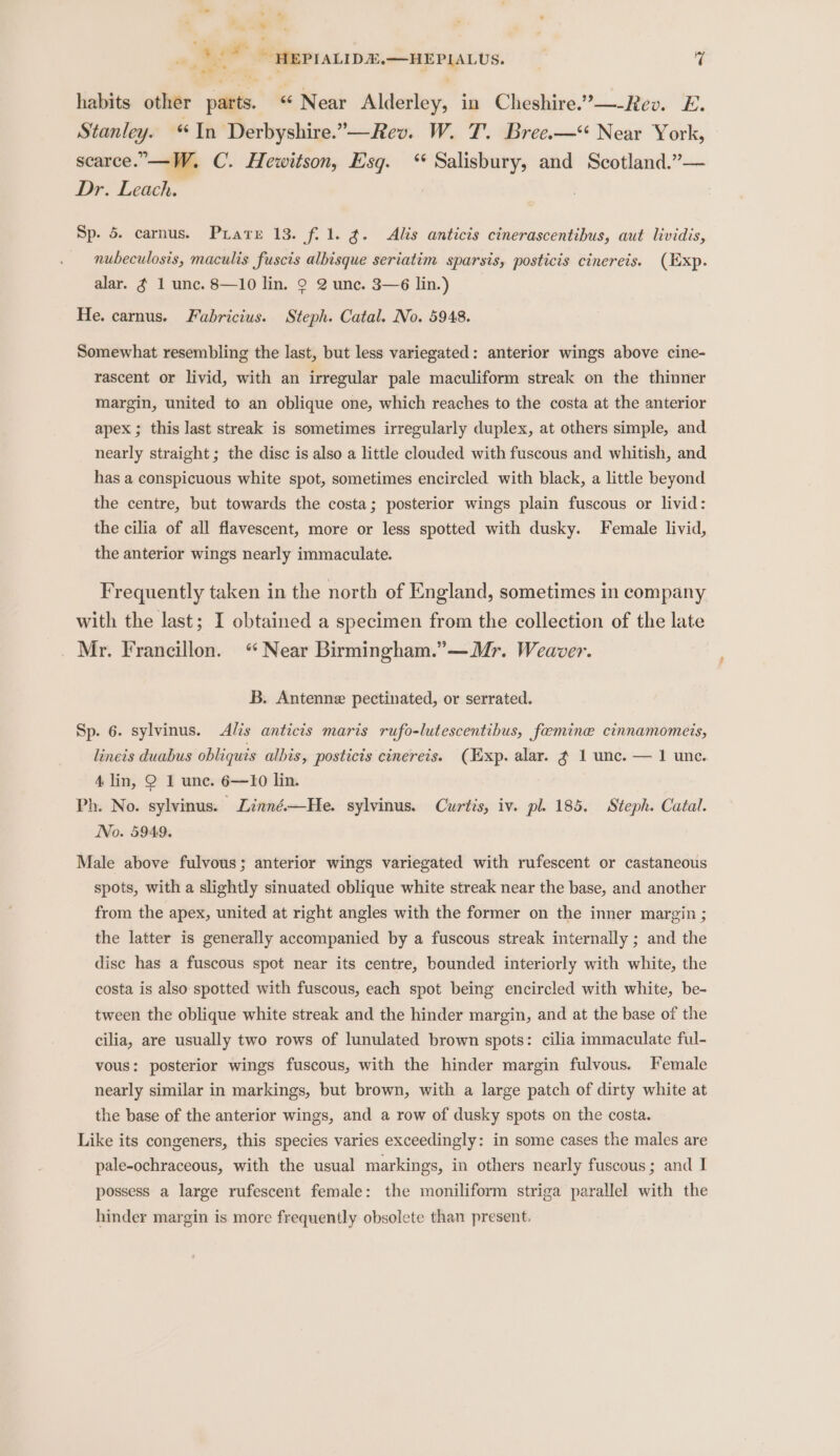 ad * « j in, oe al . ~ 22°) Seerrauips.—HEPyLus. ri ae. habits other parts. “Near Alderley, in Cheshire.’—-Rev. E. Stanley. “In Derbyshire.”—Rev. W. T. Bree.—“ Near York, scarce. —W, C. Hewitson, Esq. “ Salisbury, and Scotland.”— Dr. Leach. 3 Sp. 5. carnus. Pirate 13. fil. g¢. Alis anticis cinerascentibus, aut lividis, nubeculosis, maculis fuscis albisque seriatim sparsis, posticis cinereis. (Exp. alar. ¢ 1 unc. 8—10 lin. 2 2 unc. 3—6 lin.) He. carnus. Fabricius. Steph. Catal. No. 5948. Somewhat resembling the last, but less variegated: anterior wings above cine- rascent or livid, with an irregular pale maculiform streak on the thinner margin, united to an oblique one, which reaches to the costa at the anterior apex ; this last streak is sometimes irregularly duplex, at others simple, and nearly straight ; the disc is also a little clouded with fuscous and whitish, and has a conspicuous white spot, sometimes encircled with black, a little beyond the centre, but towards the costa; posterior wings plain fuscous or livid: the cilia of all flavescent, more or less spotted with dusky. Female livid, the anterior wings nearly immaculate. Frequently taken in the north of England, sometimes in company with the last; I obtained a specimen from the collection of the late Mr. Francillon. “Near Birmingham.”—Mr. Weaver. B. Antenne pectinated, or serrated. Sp. 6. sylvinus. Alis anticis maris rufo-lutescentibus, faeemine cinnamomeis, lineis duabus obliquis albis, posticis cinereis. (Exp. alar. ¢ 1 unc. — 1 unc. 4 lin, © 1 unc. 6—10 lin. Ph. No. sylvinus. Linné—He. sylvinus. Curtis, iv. pl. 185. Steph. Catal. No. 5949. Male above fulvous; anterior wings variegated with rufescent or castaneous spots, with a slightly sinuated oblique white streak near the base, and another from the apex, united at right angles with the former on the inner margin ; the latter is generally accompanied by a fuscous streak internally ; and the disc has a fuscous spot near its centre, bounded interiorly with white, the costa is also spotted with fuscous, each spot being encircled with white, be- tween the oblique white streak and the hinder margin, and at the base of the cilia, are usually two rows of lunulated brown spots: cilia immaculate ful- vous: posterior wings fuscous, with the hinder margin fulvous. Female nearly similar in markings, but brown, with a large patch of dirty white at the base of the anterior wings, and a row of dusky spots on the costa. Like its congeners, this species varies exceedingly: in some cases the males are pale-ochraceous, with the usual markings, in others nearly fuscous; and I possess a large rufescent female: the moniliform striga parallel with the hinder margin is more frequently obsolete than present.