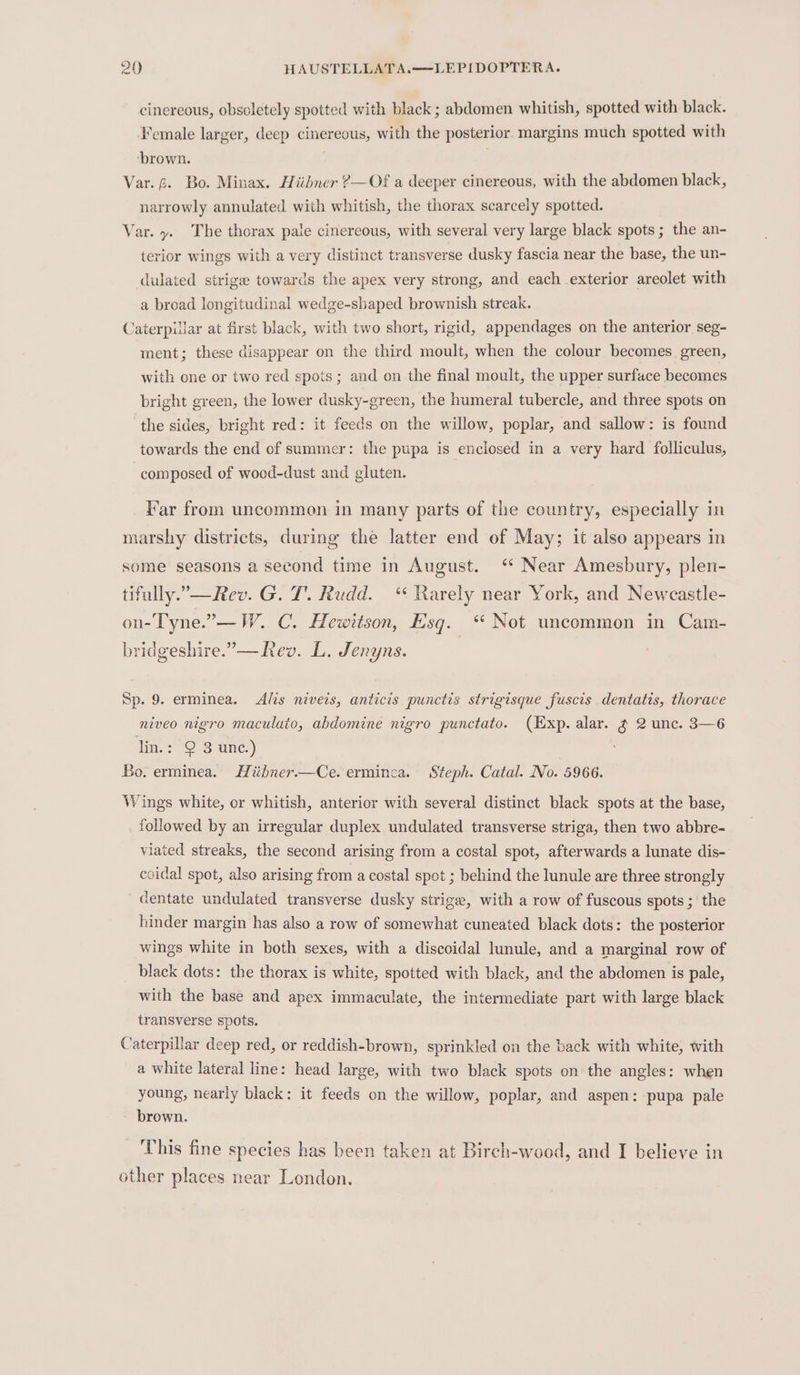 cinereous, obsoletely spotted with black; abdomen whitish, spotted with black. Female larger, deep cinereous, with the posterior margins much spotted with ‘brown. Var. 6. Bo. Minax. Hiibner ?—Of a deeper cinereous, with the abdomen black, narrowly annulated with whitish, the thorax scarcely spotted. Var. y. The thorax pale cinereous, with several very large black spots; the an- terior wings with a very distinct transverse dusky fascia near the base, the un- dulated strigee towards the apex very strong, and each exterior areolet with a broad longitudinal wedge-sbaped brownish streak. Caterpillar at first black, with two short, rigid, appendages on the anterior seg- ment; these disappear on the third moult, when the colour becomes green, with one or two red spots; and on the final moult, the upper surface becomes bright green, the lower dusky-green, the humeral tubercle, and three spots on the sides, bright red: it feeds on the willow, poplar, and sallow: is found towards the end of summer: the pupa is enclosed in a very hard folliculus, composed of wood-dust and gluten. Far from uncommon in many parts of the country, especially in marshy districts, during the latter end of May; it also appears in some seasons a second time in August. ‘ Near Amesbury, plen- tifully.”— Rev. G. T. Rudd. “ Rarely near York, and Newcastle- on-Tyne.”—W. C. Hewitson, Esq. ‘“ Not uncommon in Cam- bridgeshire.”—ev. L. Jenyns. Sp. 9. erminea. Als niveis, anticis punctis strigisque fuscis dentatis, thorace niveo nigro maculaio, abdomine nigro punctato. (Exp. alar. ¢ 2 unc. 3—6 lin.: Q 3 unc.) Bo. erminea. Hiibner.—Ce. erminca. Steph. Catal. No. 5966. Wings white, or whitish, anterior with several distinct black spots at the base, followed by an irregular duplex undulated transverse striga, then two abbre- viated streaks, the second arising from a costal spot, afterwards a lunate dis- ecidal spot, also arising from a costal spot ; behind the lunule are three strongly dentate undulated transverse dusky strige, with a row of fuscous spots; the hinder margin has also a row of somewhat cuneated black dots: the posterior wings white in both sexes, with a discoidal lunule, and a marginal row of black dots: the thorax is white, spotted with black, and the abdomen is pale, with the base and apex immaculate, the intermediate part with large black transverse spots. Caterpillar deep red, or reddish-brown, sprinkled on the back with white, with a white lateral line: head large, with two black spots on the angles: when young, nearly black: it feeds on the willow, poplar, and aspen: pupa pale brown. This fine species has been taken at Birch-wood, and I believe in other places near London.