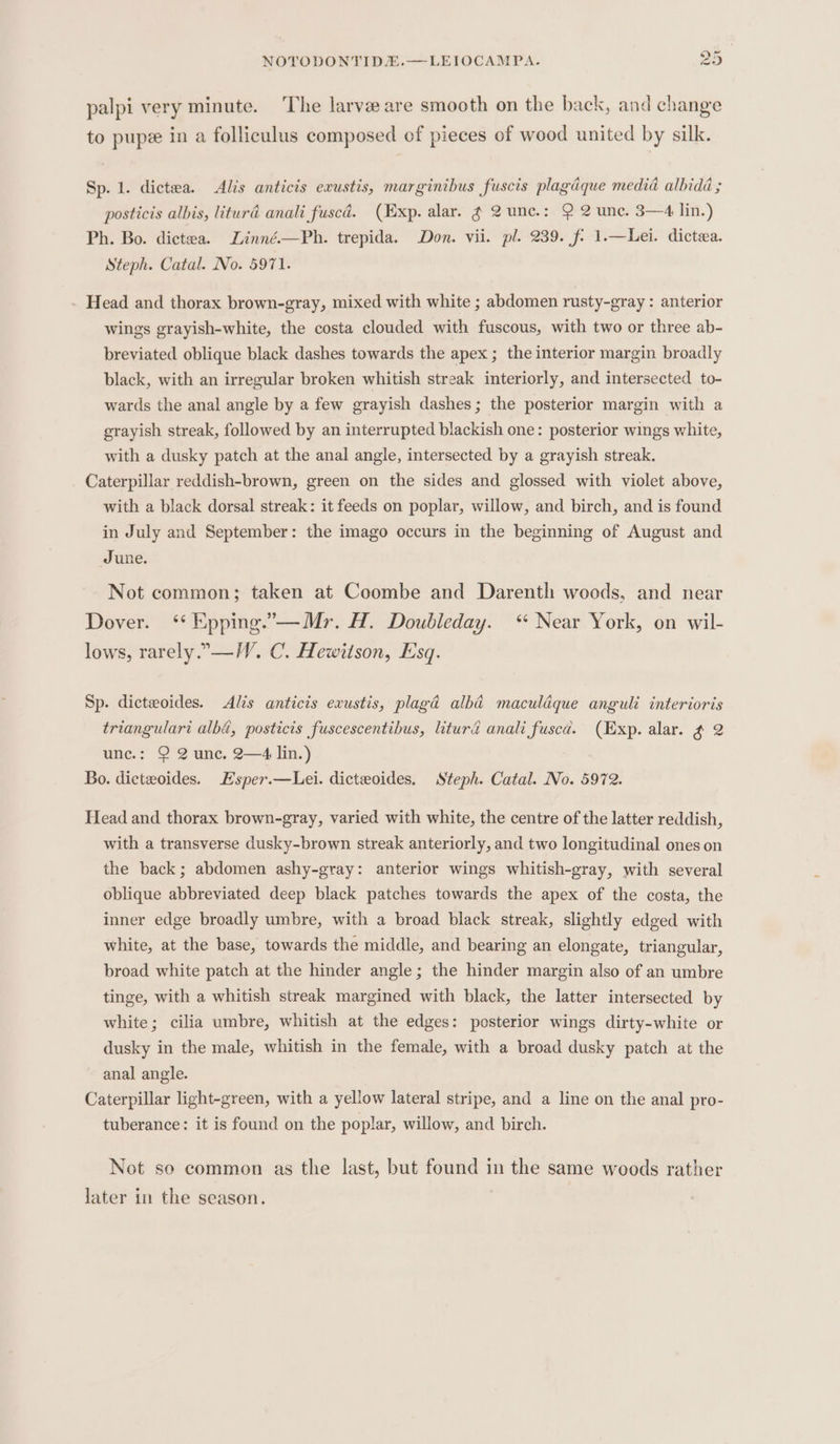 we j cs) os) NOTODONTIDA.—LEIOCAMPA. y palpi very minute. ‘The larve are smooth on the back, and change to pupe in a folliculus composed of pieces of wood united by silk. Sp. 1. dictea. Alis anticis erustis, marginibus fuscis plagdque media albidd ; posticis albis, liturd anali fuscd. (Exp. alar. ¢ 2unc.: 2 2 une. 3—4 lin.) Ph. Bo. dictea. Linné—Ph. trepida. Don. vii. pl. 239. f- 1.—Lei. dictea. Steph. Catal. No. 5971. Head and thorax brown-gray, mixed with white ; abdomen rusty-gray : anterior wings grayish-white, the costa clouded with fuscous, with two or three ab- breviated oblique black dashes towards the apex ; the interior margin broadly black, with an irregular broken whitish streak interiorly, and intersected to- wards the anal angle by a few grayish dashes; the posterior margin with a grayish streak, followed by an interrupted blackish one: posterior wings white, with a dusky patch at the anal angle, intersected by a grayish streak. Caterpillar reddish-brown, green on the sides and glossed with violet above, with a black dorsal streak: it feeds on poplar, willow, and birch, and is found in July and September: the imago occurs in the beginning of August and June. Not common; taken at Coombe and Darenth woods, and near Dover. ‘¢ Epping.—Mr. H. Doubleday. “ Near York, on wil- lows, rarely.—W. C. Hewitson, Esq. Sp. dicteoides. &lt;Alis anticis exustis, plagd alhbid maculdque anguli interioris triangulari alba, posticis fuscescentibus, liturd anali fusca. (Exp. alar. ¢ 2 une.: Q 2 unc. 2—4 lin.) Bo. dicteoides. Hsper.—Lei. dicteoides. Steph. Catal. No. 5972. Head and thorax brown-gray, varied with white, the centre of the latter reddish, with a transverse dusky-brown streak anteriorly, and two longitudinal ones on the back; abdomen ashy-gray: anterior wings whitish-gray, with several oblique abbreviated deep black patches towards the apex of the costa, the inner edge broadly umbre, with a broad black streak, slightly edged with white, at the base, towards the middle, and bearing an elongate, triangular, broad white patch at the hinder angle; the hinder margin also of an umbre tinge, with a whitish streak margined with black, the latter intersected by white; cilia umbre, whitish at the edges: posterior wings dirty-white or dusky in the male, whitish in the female, with a broad dusky patch at the anal angle. Caterpillar light-green, with a yellow lateral stripe, and a line on the anal pro- tuberance: it is found on the poplar, willow, and birch. Not so common as the last, but found in the same woods rather later in the season.