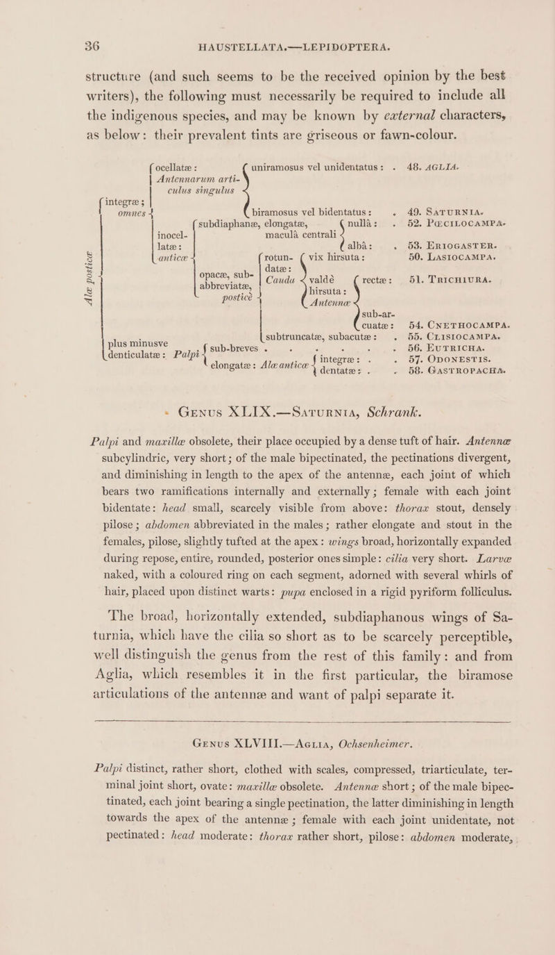 structure (and such seems to be the received opinion by the best writers), the following must necessarily be required to include all the indigenous species, and may be known by ewxternal characters, as below: their prevalent tints are griseous or fawn-colour. { ocellatze : uniramosus vel unidentatus: . 48. AGLIA.- | Antennarum arti- culus singulus [i integra 5 omnes biramosus vel bidentatus : ~ 49. SATURNIA. subdiaphane, elongate, nulla: . 52, P@&amp;CILOCAMPA.- inocel- macala centrali late : alba: . 53. ERIOGASTER. s anticce {rotun- ( vix hirsuta: 50. LASIOCAMPA. = date: &amp;, Space, sup= Cauda &lt; valdé recte: 51. TRICHIURA. 8 abbreviate g hirsuta: y (BOstice : Antenne sub-ar- cuate: 54. CNETHOCAMPA. | (subtruncate, subacute: . 55. CLISIOCAMPA. ee minusve sub-breves . : ‘ : : - 66. EUTRICHA. [Roti Palpi+ integre: . . 57. ODONESTIS. glougere: Alec antice 4 dentate: . - 58. GASTROPACHA. Genus XLIX.—Sarurnta, Schrank. Palpi and mazille obsolete, their place occupied by a dense tuft of hair. Antenne subcylindric, very short; of the male bipectinated, the pectinations divergent, and diminishing in length to the apex of the antenne, each joint of which bears two ramifications internally and externally; female with each joint bidentate: head small, scarcely visible from above: thorax stout, densely pilose ; abdomen abbreviated in the males; rather elongate and stout in the females, pilose, slightly tufted at the apex : wings broad, horizontally expanded during repose, entire, rounded, posterior ones simple: cilia very short. Larve naked, with a coloured ring on each segment, adorned with several whirls of hair, placed upon distinct warts: pupa enclosed in a rigid pyriform folliculus. The broad, horizontally extended, subdiaphanous wings of Sa- turnia, which have the cilia so short as to be scarcely perceptible, well distinguish the genus from the rest of this family: and from Aglia, which resembles it in the first particular, the biramose articulations of the antenne and want of palpi separate it. Genus XLVIII.—Aei1a, Ochsenheimer. Palpi distinct, rather short, clothed with scales, compressed, triarticulate, ter- minal joint short, ovate: mazille obsolete. Antenne short ; of the male bipec- tinated, each joint bearing a single pectination, the latter diminishing in length towards the apex of the antenne ; female with each joint unidentate, not pectinated: head moderate: thorax rather short, pilose: abdomen moderate,