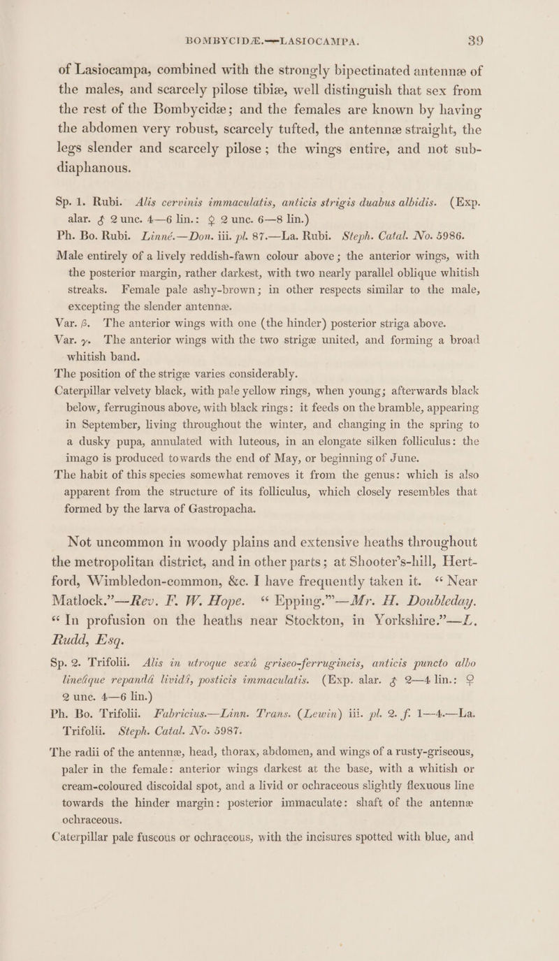 of Lasiocampa, combined with the strongly bipectinated antenne of the males, and scarcely pilose tibie, well distinguish that sex from the rest of the Bombycide; and the females are known by having the abdomen very robust, scarcely tufted, the antenne straight, the legs slender and scarcely pilose; the wings entire, and not sub- diaphanous. Sp. 1. Rubi. Alts cervinis immaculatis, anticis strigis duabus albidis. (Exp. alar. ¢ Qunec. 4—6 lin.: 9 2 unc. 6—8 lin.) Ph. Bo. Rubi. Linné.—Don. iii. pl. 87.—La. Rubi. Steph. Catal. No. 5986. Male entirely of a lively reddish-fawn colour above ; the anterior wings, with the posterior margin, rather darkest, with two nearly parallel oblique whitish streaks. Female pale ashy-brown; in other respects similar to the male, excepting the slender antenne. Var. 6. The anterior wings with one (the hinder) posterior striga above. Var. y- The anterior wings with the two strige united, and forming a broad whitish band. The position of the strigee varies considerably. Caterpillar velvety black, with pale yellow rings, when young; afterwards black below, ferruginous above, with black rings: it feeds on the bramble, appearing in September, living throughout the winter, and changing in the spring to a dusky pupa, annulated with luteous, in an elongate silken folliculus: the imago is produced towards the end of May, or beginning of June. The habit of this species somewhat removes it from the genus: which is also apparent from the structure of its folliculus, which closely resembles that formed by the larva of Gastropacha. Not uncommon in woody plains and extensive heaths throughout the metropolitan district, and in other parts; at Shooter’s-hill, Hert- ford, Wimbledon-common, &amp;c. I have frequently taken it. “ Near Matlock.”—Rev. F. W. Hope. “ Epping.”—Mr. H. Doubleday. ‘In profusion on the heaths near Stockton, in Yorkshire.”—JZ, Rudd, Esq. Sp. 2. Trifolii. Alis in utroque sexi griseo-ferrugineis, anticis puncto albo lineique repandé lividi, posticis immaculatis. (Exp. alar. ¢ 2—4lin.: 9 2 une. 4—6 lin.) Ph. Bo. Trifolii. Fabrictus——Linn. Trans. (Lewin) iii. pl. 2. f- 1—4.—La. Trifolii. Steph. Catal. No. 5987. The radii of the antenne, head, thorax, abdomen, and wings of a rusty-griseous, paler in the female: anterior wings darkest at the base, with a whitish or cream-coloured discoidal spot, and a livid or ochraceous slightly flexuous line towards the hinder margin: posterior immaculate: shaft of the antenne ochraceous. Caterpillar pale fuscous or ochraceous, with the incisures spotted with blue, and
