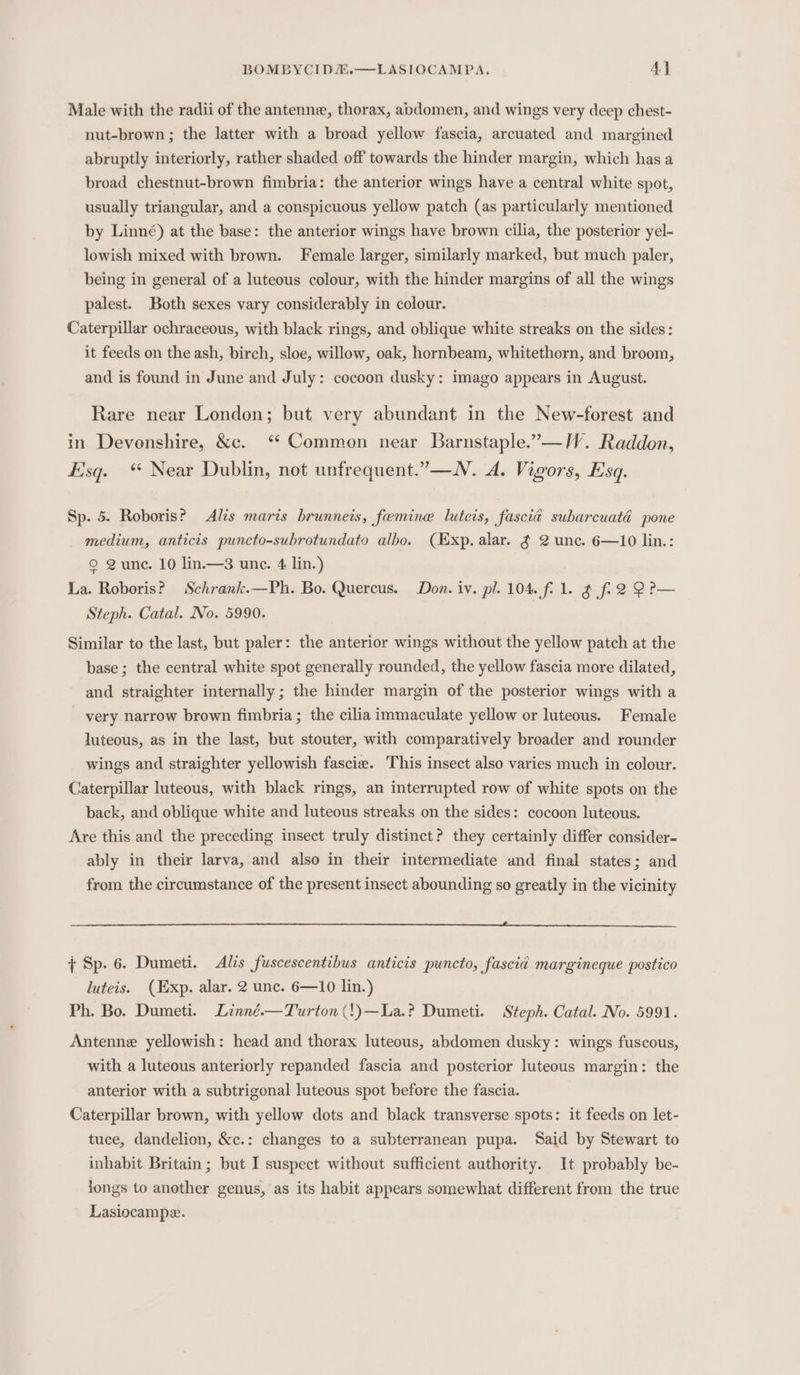 Male with the radii of the antenne, thorax, abdomen, and wings very deep chest- nut-brown; the latter with a broad yellow fascia, arcuated and margined abruptly interiorly, rather shaded off towards the hinder margin, which has a broad chestnut-brown fimbria: the anterior wings have a central white spot, usually triangular, and a conspicuous yellow patch (as particularly mentioned by Linné) at the base: the anterior wings have brown cilia, the posterior yel- lowish mixed with brown. Female larger, similarly marked, but much paler, being in general of a luteous colour, with the hinder margins of all the wings palest. Both sexes vary considerably in colour. Caterpillar ochraceous, with black rings, and oblique white streaks on the sides: it feeds on the ash, birch, sloe, willow, oak, hornbeam, whitethorn, and broom, and is found in June and July: cocoon dusky: imago appears in August. Rare near London; but very abundant in the New-forest and in Devonshire, &amp;c. ‘“ Common near Barnstaple.”—W. Raddon, Esq. “ Near Dublin, not unfrequent.”—WN. A. Vigors, Esq. Sp. 5. Roboris? Alis marts brunneis, feemine luteis, fascia subarcuaté pone medium, anticis puncto-subrotundato albo. (Exp. alar. ¢ 2 unc. 6—10 lin.: © 2une. 10 lin.—3 une. 4 lin.) La. Roboris? Schrank.—Ph. Bo. Quercus. Don. iv. pl. 104. f. 1. g f2 2 2 P— Steph. Catal. No. 5990. Similar to the last, but paler: the anterior wings without the yellow patch at the base; the central white spot generally rounded, the yellow fascia more dilated, and straighter internally; the hinder margin of the posterior wings with a very narrow brown fimbria; the cilia immaculate yellow or luteous. Female luteous, as in the last, but stouter, with comparatively broader and rounder wings and straighter yellowish fascia. This insect also varies much in colour. Caterpillar luteous, with black rings, an interrupted row of white spots on the back, and oblique white and luteous streaks on the sides: cocoon luteous. Are this and the preceding insect truly distinct? they certainly differ consider- ably in their larva, and also in their intermediate and final states; and from the circumstance of the present insect abounding so greatly in the vicinity 7 Sp. 6. Dumeti. Alis fuscescentibus anticis puncto, fascid margineque postico luteis. (Exp. alar. 2 unc. 6—10 lin.) Ph. Bo. Dumeti. Linné.—Turton (!)—La.? Dumeti. Steph. Catal. No. 5991. Antenne yellowish: head and thorax luteous, abdomen dusky: wings fuscous, with a luteous anteriorly repanded fascia and posterior luteous margin: the anterior with a subtrigonal luteous spot before the fascia. Caterpillar brown, with yellow dots and black transverse spots: it feeds on let- tuce, dandelion, &amp;c.: changes to a subterranean pupa. Said by Stewart to inhabit Britain; but I suspect without sufficient authority. It probably be- longs to another genus, as its habit appears somewhat different from the true Lasiocampe.