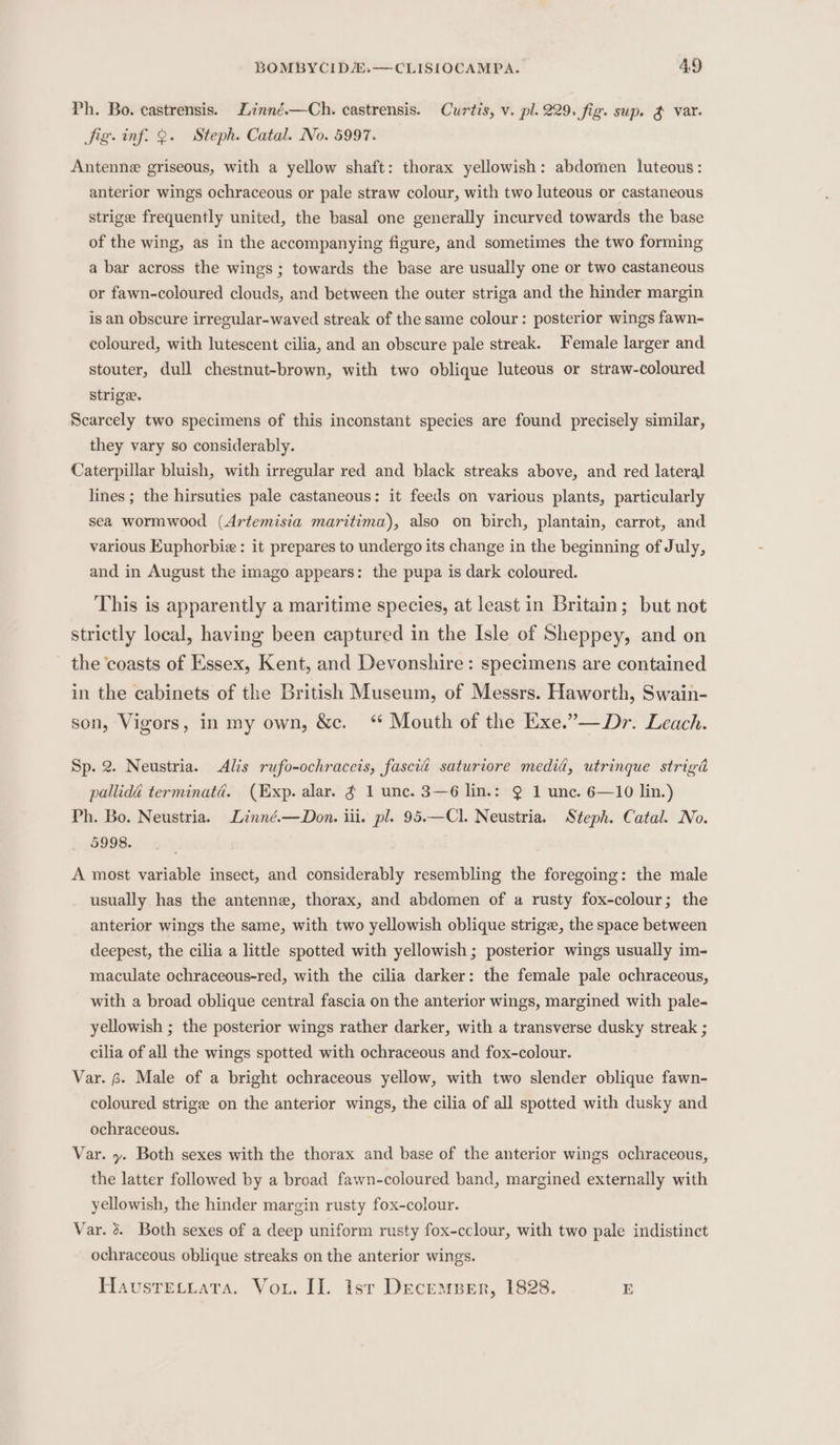 Ph. Bo. castrensis. Linné.—Ch. castrensis. Curtis, v. pl. 229. fig. sup. &amp; var. Sig. inf. 9. Steph. Catal. No. 5997. Antenne griseous, with a yellow shaft: thorax yellowish: abdomen luteous: anterior wings ochraceous or pale straw colour, with two luteous or castaneous strige frequently united, the basal one generally incurved towards the base of the wing, as in the accompanying figure, and sometimes the two forming a bar across the wings; towards the base are usually one or two castaneous or fawn-coloured clouds, and between the outer striga and the hinder margin is an obscure irregular-waved streak of the same colour: posterior wings fawn- coloured, with lutescent cilia, and an obscure pale streak. Female larger and stouter, dull chestnut-brown, with two oblique luteous or straw-coloured strige. Scarcely two specimens of this inconstant species are found precisely similar, they vary so considerably. Caterpillar bluish, with irregular red and black streaks above, and red lateral lines ; the hirsuties pale castaneous: it feeds on various plants, particularly sea wormwood (Artemisia maritima), also on birch, plantain, carrot, and various Euphorbie : it prepares to undergo its change in the beginning of July, and in August the imago appears: the pupa is dark coloured. This is apparently a maritime species, at least in Britain; but not strictly local, having been captured in the Isle of Sheppey, and on the ‘coasts of Essex, Kent, and Devonshire: specimens are contained in the cabinets of the British Museum, of Messrs. Haworth, Swain- son, Vigors, in my own, &amp;c. “ Mouth of the Exe.”—Dr. Leach. Sp. 2. Neustria. Alis rufo-ochraceis, fascid saturiore medid, utrinque strigd pallidé terminatd. (Exp. alar. ¢ 1 unc. 3—6 lin.: ? 1 unc. 6—10 lin.) Ph. Bo. Neustria. Linné.—Don. iii. pl. 95.—Cl. Neustria. Steph. Catal. No. 5998. A most variable insect, and considerably resembling the foregoing: the male usually has the antenne, thorax, and abdomen of a rusty fox-colour; the anterior wings the same, with two yellowish oblique strige, the space between deepest, the cilia a little spotted with yellowish ; posterior wings usually im- maculate ochraceous-red, with the cilia darker: the female pale ochraceous, with a broad oblique central fascia on the anterior wings, margined with pale- yellowish ; the posterior wings rather darker, with a transverse dusky streak ; cilia of all the wings spotted with ochraceous and fox-colour. Var. 6. Male of a bright ochraceous yellow, with two slender oblique fawn- coloured strige on the anterior wings, the cilia of all spotted with dusky and ochraceous. | Var. y. Both sexes with the thorax and base of the anterior wings ochraceous, the latter followed by a broad fawn-coloured band, margined externally with yellowish, the hinder margin rusty fox-colour. Var. 3. Both sexes of a deep uniform rusty fox-cclour, with two pale indistinct ochraceous oblique streaks on the anterior wings. Havusrecuatra. Vou. Il. Isr Decemser, 1828. E