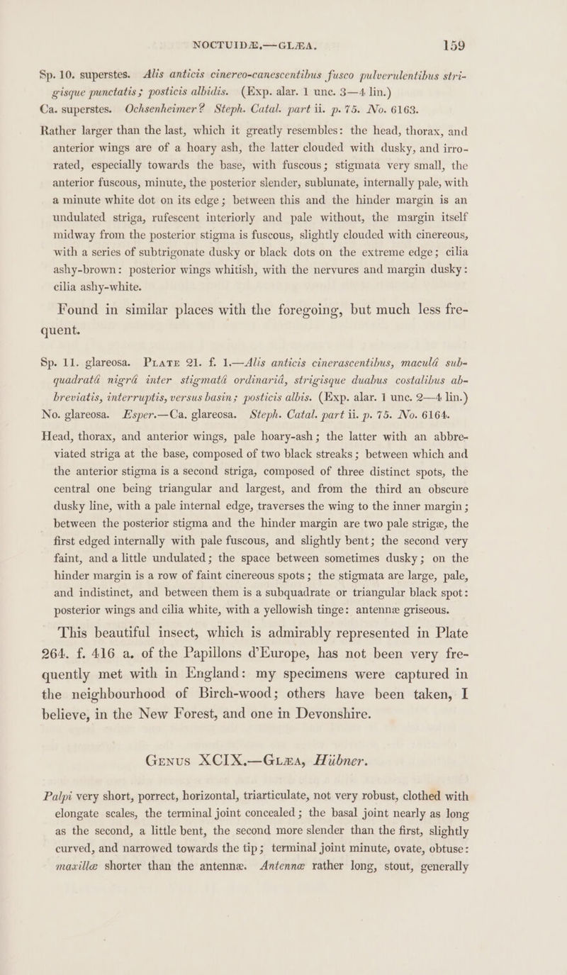 Sp. 10. superstes. Alis anticis cinereo-canescentihus fusco pulverulentibus stri- gisque punctatis ; posticis albidis. (Exp. alar. 1 unc. 3—4 lin.) Ca. superstes. Ochsenheimer? Steph. Catal. part ii. p.75. No. 6163. Rather larger than the last, which it greatly resembles: the head, thorax, and anterior wings are of a hoary ash, the latter clouded with dusky, and irro- rated, especially towards the base, with fuscous; stigmata very small, the anterior fuscous, minute, the posterior slender, sublunate, internally pale, with a minute white dot on its edge; between this and the hinder margin is an undulated striga, rufescent interiorly and pale without, the margin itself midway from the posterior stigma is fuscous, slightly clouded with cinereous, with a series of subtrigonate dusky or black dots on the extreme edge; cilia ashy-brown: posterior wings whitish, with the nervures and margin dusky: cilia ashy-white. Found in similar places with the foregoing, but much less fre- quent. Sp. 11. glareosa. Prater 21. f. 1—Alis anticis cinerascentihus, macula sub- quadraté nigra inter stigmata ordinarid, strigisque duabus costalibus ab- breviatis, interruptis, versus basin; posticis albis. (Exp. alar. 1 unc. 2—4 lin.) No. glareosa. Hsper.—Ca. glareosa. Steph. Catal. part ii. p. 75. No. 6164. Head, thorax, and anterior wings, pale hoary-ash; the latter with an abbre- viated striga at the base, composed of two black streaks ; between which and the anterior stigma is a second striga, composed of three distinct spots, the central one being triangular and largest, and from the third an obscure dusky line, with a pale internal edge, traverses the wing to the inner margin ; between the posterior stigma and the hinder margin are two pale strige, the first edged internally with pale fuscous, and slightly bent; the second very faint, and a little undulated; the space between sometimes dusky; on the hinder margin is a row of faint cinereous spots; the stigmata are large, pale, and indistinct, and between them is a subquadrate or triangular black spot: posterior wings and cilia white, with a yellowish tinge: antenne griseous. This beautiful insect, which is admirably represented in Plate 264. f. 416 a, of the Papillons d’Europe, has not been very fre- quently met with in England: my specimens were captured in the neighbourhood of Birch-wood; others have been taken, I believe, in the New Forest, and one in Devonshire. Genus XCIX.—Guma, Hubner. Palpi very short, porrect, horizontal, triarticulate, not very robust, clothed with elongate scales, the terminal joint concealed ; the basal joint nearly as long as the second, a little bent, the second more slender than the first, slightly curved, and narrowed towards the tip; terminal joint minute, ovate, obtuse: mawille shorter than the antenne. Antenne rather long, stout, generally