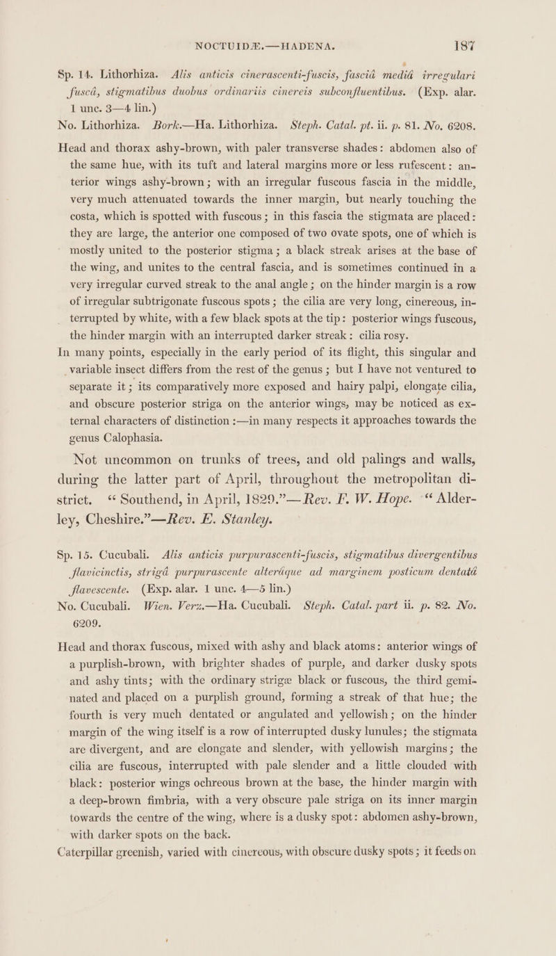 Sp. 14. Lithorhiza. Alis anticis cinerascenti-fuscis, fascia viledin irregulari fusca, stigmatibus duobus ordinariis cinereis subconfluentibus. (Exp. alar. 1 une. 3—4 lin.) No. Lithorhiza. Bork.—Ha. Lithorhiza. Steph. Catal. pt. ii. p. 81. No. 6208. Head and thorax ashy-brown, with paler transverse shades: abdomen also of the same hue, with its tuft and lateral margins more or less rufescent: an- terior wings ashy-brown; with an irregular fuscous fascia in the middle, very much attenuated towards the inner margin, but nearly touching the costa, which is spotted with fuscous ; in this fascia the stigmata are placed : they are large, the anterior one composed of two ovate spots, one of which is mostly united to the posterior stigma; a black streak arises at the base of the wing, and unites to the central fascia, and is sometimes continued in a very irregular curved streak to the anal angle; on the hinder margin is a row of irregular subtrigonate fuscous spots ; the cilia are very long, cinereous, in- terrupted by white, with a few black spots at the tip: posterior wings fuscous, the hinder margin with an interrupted darker streak: cilia rosy. In many points, especially in the early period of its flight, this singular and _variable insect differs from the rest of the genus ; but I have not ventured to separate it ; its comparatively more exposed and hairy palpi, elongate cilia, and obscure posterior striga on the anterior wings, may be noticed as ex- ternal characters of distinction :—in many respects it approaches towards the genus Calophasia. Not uncommon on trunks of trees, and old palings and walls, during the latter part of April, throughout the metropolitan di- strict. ‘Southend, in April, 1829.”— Rev. F. W. Hope. °“ Alder- ley, Cheshire.”—Rev. E. Stanley. Sp. 15. Cucubali. Alis anticis purpurascenti-fuscis, stigmatibus divergentibus flavicinctis, strigd purpurascente alteraque ad marginem posticum dentata flavescente. (Exp. alar. 1 unc. 4—6 lin.) No. Cucubali. Wien. Verz.—Ha. Cucubali. Steph. Catal. part il. p. 82. No. 6209. Head and thorax fuscous, mixed with ashy and black atoms: anterior wings of a purplish-brown, with brighter shades of purple, and darker dusky spots and ashy tints; with the ordinary strige black or fuscous, the third gemi- nated and placed on a purplish ground, forming a streak of that hue; the fourth is very much dentated or angulated and yellowish; on the hinder margin of the wing itself is a row of interrupted dusky lunules; the stigmata are divergent, and are elongate and slender, with yellowish margins; the cilia are fuscous, interrupted with pale slender and a little clouded with black: posterior wings ochreous brown at the base, the hinder margin with a deep-brown fimbria, with a very obscure pale striga on its inner margin towards the centre of the wing, where is a dusky spot: abdomen ashy-brown, with darker spots on the back. Caterpillar greenish, varied with cinereous, with obscure dusky spots ; it feeds on