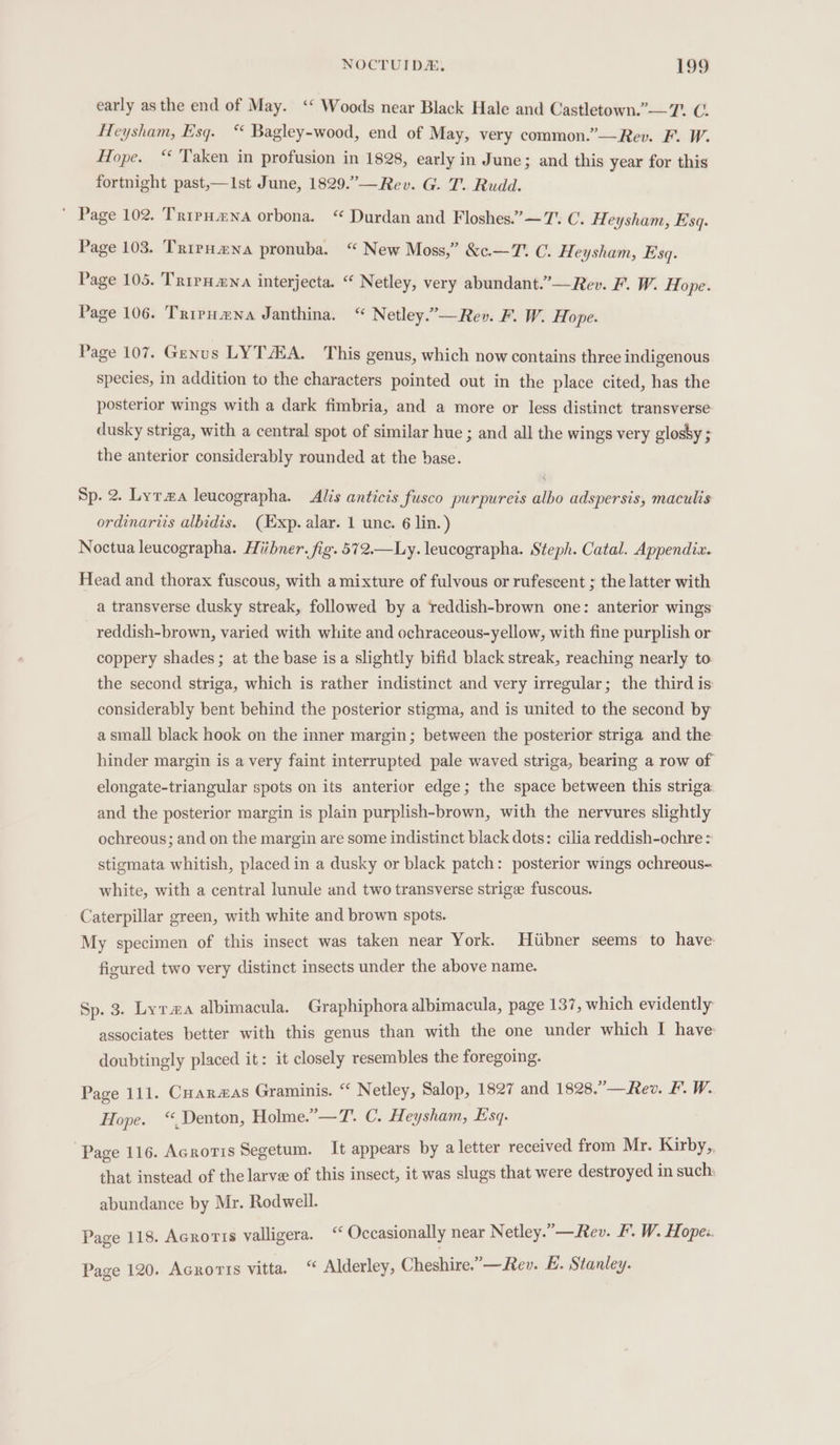 early asthe end of May. ‘‘ Woods near Black Hale and Castletown.” —T. C. Heysham, Esq. “ Bagley-wood, end of May, very common.”—Rev. F. W. Hope. “ Taken in profusion in 1828, early in June; and this year for this fortnight past,—Ist June, 1829.”—Rev. G. T. Rudd. ' Page 102. Tripumna orbona. “ Durdan and Floshes.”—7'. C. Heysham, Esq. Page 103. TripHmna pronuba. ““ New Moss,” &amp;c.—T. C. Heysham, Esq. Page 105. Trirnawna interjecta. “ Netley, very abundant.’—Rev. F. W. Hope. Page 106. Tripuana Janthina. “ Netley.”—Rev. F. W. Hope. Page 107. Genus LYTAA. This genus, which now contains three indigenous species, in addition to the characters pointed out in the place cited, has the posterior wings with a dark fimbria, and a more or less distinct transverse dusky striga, with a central spot of similar hue ; and all the wings very glosby ; the anterior considerably rounded at the base. Sp. 2. Lyra leucographa. Alis anticis fusco purpureis albo adspersis, maculis ordinariis albidis. (JExp. alar. 1 une. 6 lin.) Noctua leucographa. Hiibner. fig. 572.—Ly. leucographa. Steph. Catal. Appendiz. Head and thorax fuscous, with a mixture of fulvous or rufescent ; the latter with a transverse dusky streak, followed by a reddish-brown one: anterior wings reddish-brown, varied with white and ochraceous-yellow, with fine purplish or coppery shades; at the base isa slightly bifid black streak, reaching nearly to the second striga, which is rather indistinct and very irregular; the third is considerably bent behind the posterior stigma, and is united to the second by a small black hook on the inner margin; between the posterior striga and the hinder margin is a very faint interrupted pale waved striga, bearing a row of elongate-triangular spots on its anterior edge; the space between this striga and the posterior margin is plain purplish-brown, with the nervures slightly ochreous; and on the margin are some indistinct black dots: cilia reddish-ochre: stigmata whitish, placed in a dusky or black patch: posterior wings ochreous- white, with a central lunule and two transverse strige fuscous. Caterpillar green, with white and brown spots. My specimen of this insect was taken near York. Hiibner seems to have: figured two very distinct insects under the above name. Sp. 3. Lyra albimacula. Graphiphora albimacula, page 137, which evidently associates better with this genus than with the one under which I have doubtingly placed it: it closely resembles the foregoing. Page 111. Cuarmas Graminis. “ Netley, Salop, 1827 and 1828.”’—Rev. F. W. Hope. “Denton, Holme.”—T. C. Heysham, Esq. Page 116. Acroris Segetum. It appears by aletter received from Mr. Kirby,, that instead of the larve of this insect, it was slugs that were destroyed in such: abundance by Mr. Rodwell. Page 118. Acrortts valligera. ““ Occasionally near Netley.” —Rev. F. W. Hope:. Page 120. Acxroris vitta. “ Alderley, Cheshire.”—Rev. E. Stanley.