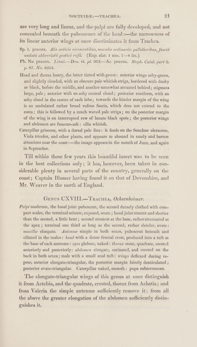 NOCTUIDE.—TRACHEA. 2] are very long and linear, and the palpi are fully developed, and not concealed beneath the pubescence of the head :—the narrowness of its linear anterior wing's at once discriminates it from Trachea. Sp. 1. precox. Alis anticis virescentibus, maculis ordinarits pallidioribus, fascid undaté abbreviatd postica rufa. (Exp. alar. 1 unc. 7—8 lin.) Ph. No. precox. Linné.—Don. vi. pl. 213.—Ac. precox. Steph. Catal. part ii. p. 87. No. 6254. Head and thorax hoary, the latter tinted with green: anterior wings ashy-green, and slightly clouded, with an obscure pale whitish striga, bordered with dusky or black, before the middle, and another somewhat arcuated behind; stigmata large, pale ; anterior with an ashy central cloud; posterior reniform, with an ashy cloud in the centre of each lobe; towards the hinder margin of the wing is an undulated rather broad rufous fascia, which does not extend to the costa; this is followed by a much waved pale striga; on the posterior margin of the wing is an interrupted row of lunate black spots ; the posterior wings and abdomen are fuscous-ash : cilia whitish. Caterpillar griseous, with a dorsal pale line: it feeds on the Sonchus oleraceus, Viola tricolor, and other plants, and appears to abound in sandy and barren situations near the coast :—the imago appears in the month of June, and again in September. Till within these few years this beautiful insect was to be seen in the best collections only; it has, however, been taken in con- siderable plenty in several parts of the country, generally on the coast; Captain Blomer having found it on that of Devonshire, and Mr. Weaver in the north of England. Genus CX VIII.—Tracuea, Ochsenheimer. Palpi raoderate, the basal joint pubescent, the second densely clothed with com- pact scales, the terminal minute, exposed, ovate ; basal joint stouter and shorter than the second, a little bent ; second stoutest at the base, rather attenuated at the apex ; terminal one third as long as the second, rather slender, ovate: maxille elongate. Antenne simple in both sexes, pubescent beneath and ciliated in the males: head with a dense frontal crest, produced into a tuft at the base of each antenne: eyes globose, naked: thorax stout, quadrate, crested anteriorly and posteriorly: abdomen elongate, carinated, and crested on the back in both sexes ; male with a small anal tuft: wings deflexed during re- pose, anterior elongate-triangular, the posterior margin faintly denticulated ; posterior ovate-triangular. Caterpillar naked, smooth: pupa subterranean. The elongate-triangular wings of this genus at once distinguish it from Actebia, and the quadrate, crested, thorax from Achatia; and from Valeria the simple antennze sufficiently remove it: from all the above the greater elongation of the abdomen sufficiently distin- guishes it.