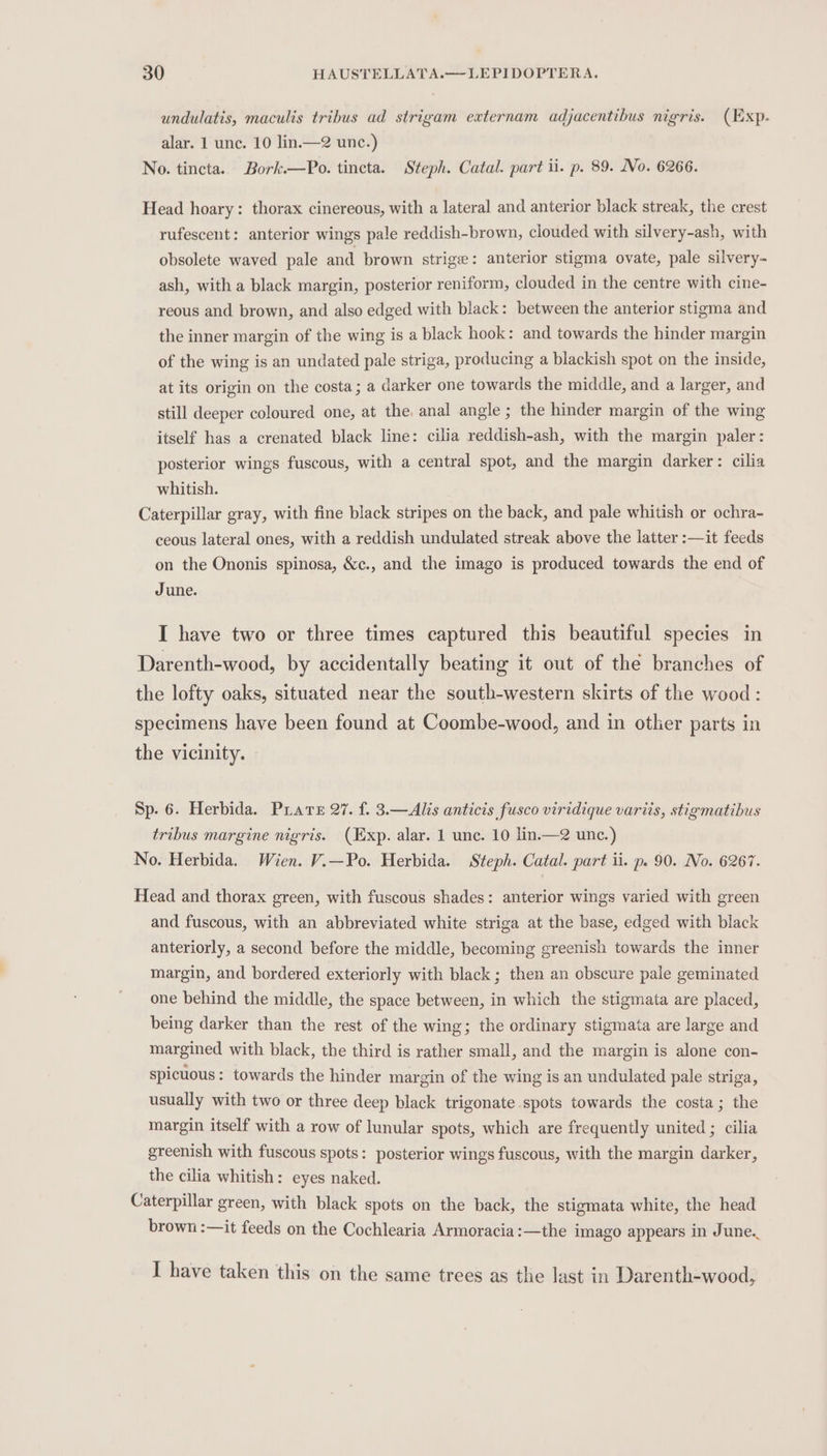 undulatis, maculis tribus ad strigam eaternam adjacentibus nigris. (Exp- alar. 1 unc. 10 lin.—2 unc.) No. tincta.. Bork.—Po. tincta. Steph. Catal. part ii. p. 89. No. 6266. Head hoary: thorax cinereous, with a lateral and anterior black streak, the crest rufescent: anterior wings pale reddish-brown, clouded with silvery-ash, with obsolete waved pale and brown strige: anterior stigma ovate, pale silvery- ash, with a black margin, posterior reniform, clouded in the centre with cine- reous and brown, and also edged with black: between the anterior stigma and the inner margin of the wing is a black hook: and towards the hinder margin of the wing is an undated pale striga, producing a blackish spot on the inside, at its origin on the costa; a darker one towards the middle, and a larger, and still deeper coloured one, at the, anal angle; the hinder margin of the wing itself has a crenated black line: cilia reddish-ash, with the margin paler: posterior wings fuscous, with a central spot, and the margin darker: cilia whitish. Caterpillar gray, with fine black stripes on the back, and pale whitish or ochra- ceous lateral ones, with a reddish undulated streak above the latter :—it feeds on the Ononis spinosa, &amp;c., and the imago is produced towards the end of June. I have two or three times captured this beautiful species in Darenth-wood, by accidentally beating it out of the branches of the lofty oaks, situated near the south-western skirts of the wood : specimens have been found at Coombe-wood, and in otlier parts in the vicinity. Sp. 6. Herbida. Prats 27. f. 3.—Alis anticis fusco viridique variis, stigmatibus tribus margine nigris. (Exp. alar. 1 une. 10 lin.—2 unc.) No. Herbida. Wien. V.—Po. Herbida. Steph. Catal. part ii. p. 90. No. 6267. Head and thorax green, with fuscous shades: anterior wings varied with green and fuscous, with an abbreviated white striga at the base, edged with black anteriorly, a second before the middle, becoming greenish towards the inner margin, and bordered exteriorly with black; then an obscure pale geminated one behind the middle, the space between, in which the stigmata are placed, being darker than the rest of the wing; the ordinary stigmata are large and margined with black, the third is rather small, and the margin is alone con- spicuous: towards the hinder margin of the wing is an undulated pale striga, usually with two or three deep black trigonate spots towards the costa; the margin itself with a row of lunular spots, which are frequently united ; cilia greenish with fuscous spots: posterior wings fuscous, with the margin darker, the cilia whitish: eyes naked. Caterpillar green, with black spots on the back, the stigmata white, the head brown :—it feeds on the Cochlearia Armoracia:—the imago appears in June. I have taken this on the same trees as the last in Darenth-wood,