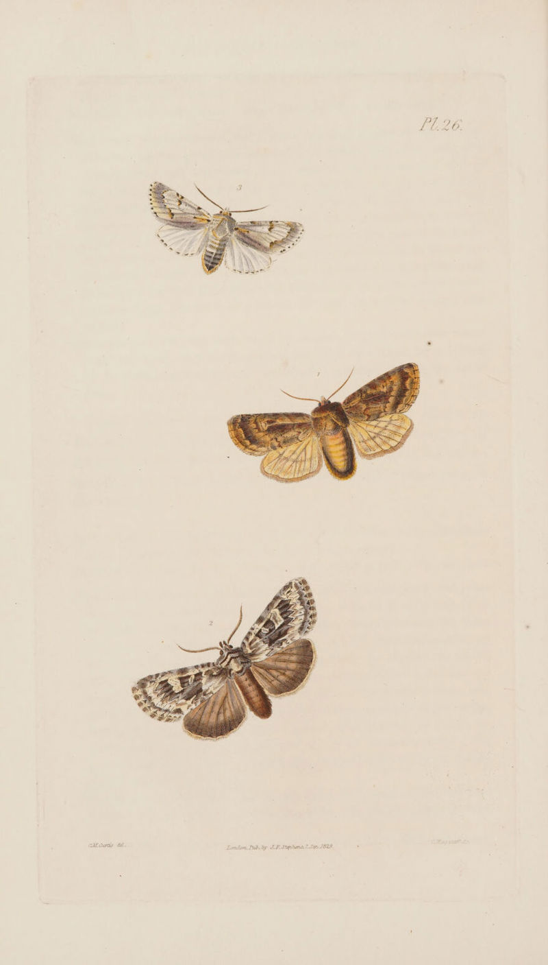 ae =e — Miduras dd. London, Fub.by TF. Stphens, 7. Seq / 829. ’