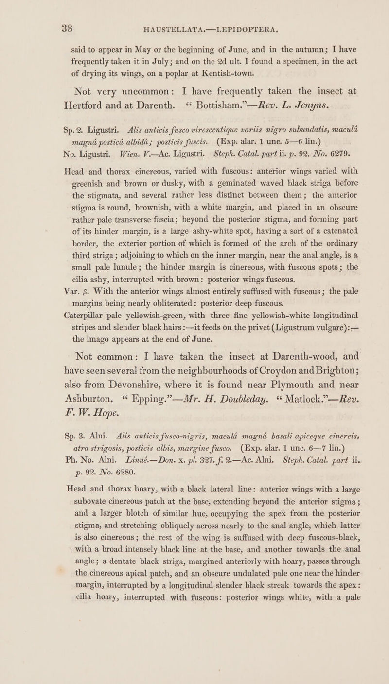 said to appear in May or the beginning of June, and in the autumn; I have frequently taken it in July; and on the 2d ult. I found a specimen, in the act of drying its wings, on a poplar at Kentish-town. Not very uncommon: I have frequently taken the insect at Hertford and at Darenth. ‘ Bottisham.”—Hev. L. Jenyns. Sp.2. Ligustri. Alis anticis fusco virescentique variis nigro subundatis, macula magna posticad albida; posticis fuscis. (Exp. alar. 1 une. 5—6 lin.) No. Ligustri, Wien. V.i—Ac. Ligustri. Steph. Catal. part ii. p. 92. No. 6279. Head and thorax cinereous, varied with fuscous: anterior wings varied with greenish and brown or dusky, with a geminated waved black striga before the stigmata, and several rather less distinct between them; the anterior stigma is round, brownish, with a white margin, and placed in an obscure rather pale transverse fascia; beyond the posterior stigma, and forming part of its hinder margin, is a large ashy-white spot, having a sort of a catenated border, the exterior portion of which is formed of the arch of the ordinary third striga ; adjoining to which on the inner margin, near the anal angle, is a small pale lunule; the hinder margin is cinereous, with fuscous spots; the cilia ashy, interrupted with brown: posterior wings fuscous. Var. 6. With the anterior wings almost entirely suffused with fuscous; the pale margins being nearly obliterated: posterior deep fuscous. Caterpillar pale yellowish-green, with three fine yellowish-white longitudinal stripes and slender black hairs :—it feeds on the privet (Ligustrum vulgare):— the imago appears at the end of June. Not common: I have taken the insect at Darenth-wood, and have seen several from the neighbourhoods of Croydon and Brighton; also from Devonshire, where it is found near Plymouth and near Ashburton. “ Epping.”—Mr. H. Doubleday. “ Matlock.”—Rev. FF. W. Hope. Sp. 3. Alni. Alis anticis fusco-nigris, maculé magné basali apiceque cinereiss atro strigosis, posticis albis, margine fusco. (Exp. alar. 1 unc. 6—7 lin.) Ph. No. Alni. Linné.—Don. x. pl. 327. f.2.—Ac. Alni. Steph. Catal. part ii. p- 92. No. 6280. Head and thorax hoary, with a black lateral line: anterior wings with a large subovate cinereous patch at the base, extending beyond the anterior stigma ; and a Jarger blotch of similar hue, occupying the apex from the posterior stigma, and stretching obliquely across nearly to the anal angle, which latter is also cinereous; the rest of the wing is suffused with deep fuscous-black, with a broad intensely black line at the base, and another towards the anal angle; a dentate black striga, margined anteriorly with hoary, passes through the cinereous apical patch, and an obscure undulated pale one near the hinder margin, interrupted by a longitudinal slender black streak towards the apex: cilia hoary, interrupted with fuscous: posterior wings white, with a pale