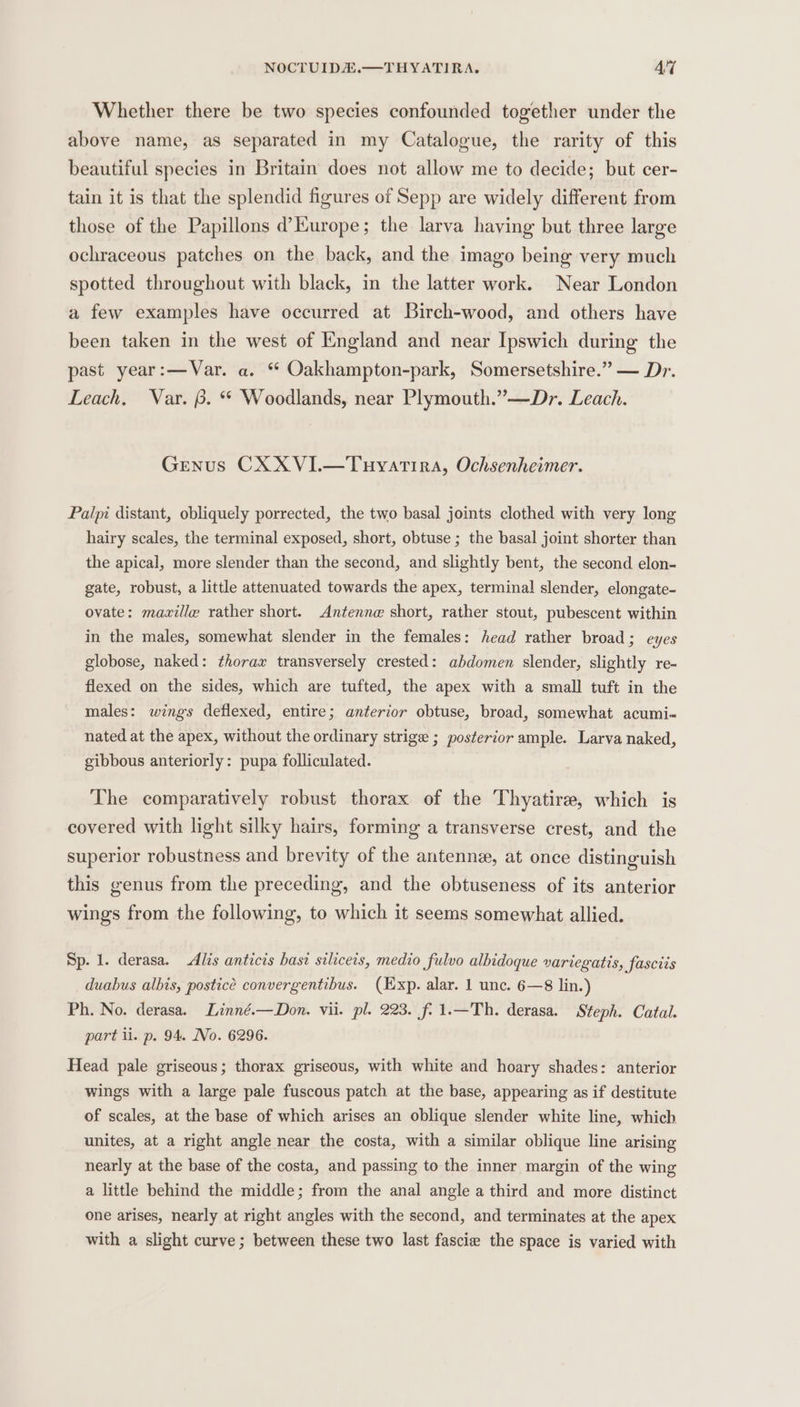 NOCTUIDA.—THYATIRA, Ad Whether there be two species confounded together under the above name, as separated in my Catalogue, the rarity of this beautiful species in Britain does not allow me to decide; but cer- tain it is that the splendid figures of Sepp are widely different from those of the Papillons d’Kurope; the larva having but three large ochraceous patches on the back, and the imago being very much spotted throughout with black, in the latter work. Near London a few examples have occurred at Birch-wood, and others have been taken in the west of England and near Ipswich during the past year:—Var. a. “ Oakhampton-park, Somersetshire.” — Dr. Leach. Var. B. “ Woodlands, near Plymouth.”—Dr. Leach. Genus CX XVI.—Tuyatira, Ochsenheimer. Palpi distant, obliquely porrected, the two basal joints clothed with very long hairy scales, the terminal exposed, short, obtuse ; the basal joint shorter than the apical, more slender than the second, and slightly bent, the second elon- gate, robust, a little attenuated towards the apex, terminal slender, elongate- ovate: mazille rather short. Antenne short, rather stout, pubescent within in the males, somewhat slender in the females: head rather broad; eyes globose, naked: thorax transversely crested: abdomen slender, slightly re- flexed on the sides, which are tufted, the apex with a small tuft in the males: wings deflexed, entire; anterior obtuse, broad, somewhat acumi- nated at the apex, without the ordinary strige ; posterior ample. Larva naked, gibbous anteriorly: pupa folliculated. The comparatively robust thorax of the Thyatire, which is covered with light silky hairs, forming a transverse crest, and the superior robustness and brevity of the antenna, at once distinguish this genus from the preceding, and the obtuseness of its anterior wings from the following, to which it seems somewhat allied. Sp. 1. derasa. Alis anticis basi siliceis, medio fulvo albidoque variegatis, fascits duabus albis, postice convergentibus. (Hxp. alar. 1 unc. 6—8 lin.) Ph. No. derasa. Linné.—Don. vii. pl. 223. f: 1.—Th. derasa. Steph. Catal. part li. p. 94. No. 6296. Head pale griseous; thorax griseous, with white and hoary shades: anterior wings with a large pale fuscous patch at the base, appearing as if destitute of scales, at the base of which arises an oblique slender white line, which unites, at a right angle near the costa, with a similar oblique line arising nearly at the base of the costa, and passing to the inner margin of the wing a little behind the middle; from the anal angle a third and more distinct one arises, nearly at right angles with the second, and terminates at the apex with a slight curve; between these two last fascie the space is varied with