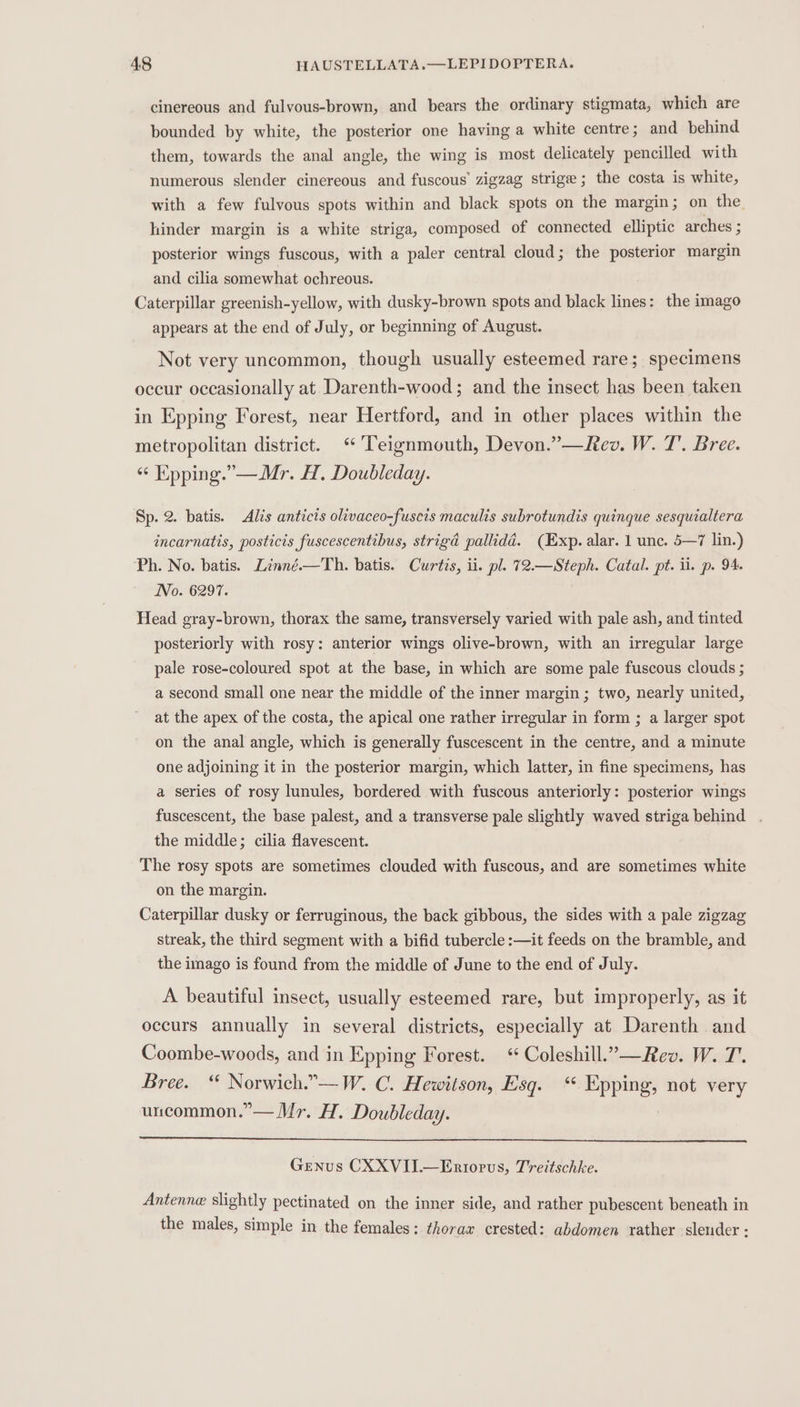 cinereous and fulvous-brown, and bears the ordinary stigmata, which are bounded by white, the posterior one having a white centre; and behind them, towards the anal angle, the wing is most delicately pencilled with numerous slender cinereous and fuscous’ zigzag strige ; the costa is white, with a few fulvous spots within and black spots on the margin ; on the hinder margin is a white striga, composed of connected elliptic arches ; posterior wings fuscous, with a paler central cloud; the posterior margin and cilia somewhat ochreous. Caterpillar greenish-yellow, with dusky-brown spots and black lines: the imago appears at the end of July, or beginning of August. Not very uncommon, though usually esteemed rare; specimens occur occasionally at Darenth-wood; and the insect has been taken in Epping Forest, near Hertford, and in other places within the metropolitan district. ‘Teignmouth, Devon.” —Rev. W. T’. Bree. “¢ Epping.’ —Mr. H. Doubleday. Sp. 2. batis. Alis anticis olivaceo-fuscis maculis subrotundis quinque sesquialtera incarnatis, posticis fuscescentibus, strigd pallida. (Exp. alar. 1 unc. 5—7 lin.) Ph. No. batis. Lnné.—Th. batis. Curtis, ii. pl. 72.—Steph. Catal. pt. il. p. 94 No. 6297. Head gray-brown, thorax the same, transversely varied with pale ash, and tinted posteriorly with rosy: anterior wings olive-brown, with an irregular large pale rose-coloured spot at the base, in which are some pale fuscous clouds ; a second small one near the middle of the inner margin ; two, nearly united, at the apex of the costa, the apical one rather irregular in form ; a larger spot on the anal angle, which is generally fuscescent in the centre, and a minute one adjoining it in the posterior margin, which latter, in fine specimens, has a series of rosy lunules, bordered with fuscous anteriorly: posterior wings fuscescent, the base palest, and a transverse pale slightly waved striga behind . the middle; cilia flavescent. The rosy spots are sometimes clouded with fuscous, and are sometimes white on the margin. Caterpillar dusky or ferruginous, the back gibbous, the sides with a pale zigzag streak, the third segment with a bifid tubercle :—it feeds on the bramble, and the imago is found from the middle of June to the end of July. A beautiful insect, usually esteemed rare, but improperly, as it occurs annually in several districts, especially at Darenth and Coombe-woods, and in Epping Forest. * Coleshill.” —Rev. W. T. Bree. “ Norwich.”—W. C. Hewitson, Esq. ‘ Epping, not very uncommon.”— Mr. H. Doubleday. Genus CXXVII.—Enrtopus, Treitschke. Antenner slightly pectinated on the inner side, and rather pubescent beneath in the males, simple in the females: thorax crested: abdomen rather slender :