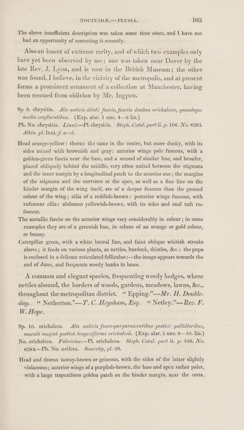 The above insufficient description was taken some time since, and I have not had an opportunity of correcting it recently. Alsoan insect of extreme rarity, and of which two examples only have yet been observed by me; one was taken near Dover by the late Rev. J. Lyon, and is now in the British Museum; the other was found, I believe, in the vicinity of the metropolis, and at present forms a prominent ornament of a collection at Manchester, having been rescued from oblivion by Mr. Ingpen. Sp. 9. chrysitis. Alis anticis diluté fuscis, fasciis duabus orichalceis, quandoque medio confluentibus. (Exp. alar. 1 unc. 4—6 lin.) Ph. No. chrysitis. Zinné.—PIl. chrysitis. Steph. Catal. part il. p. 106. No. 6383. Albin. pl. \xxi. fi a—d. Head orange-yellow: thorax the same in the centre, but more dusky, with its sides mixed with brownish and gray: anterior wings pale fuscous, with a golden-green fascia near the base, and a second of similar hue, and broader, placed obliquely behind the middle, very often united between the stigmata and the inner margin by a longitudinal patch to the anterior one; the margins of the stigmata and the nervures at the apex, as well as a fine line on the hinder margin of the wing itself, are of a deeper fuscous than the ground colour of the wing; cilia of a reddish-brown: posterior wings fuscous, with rufescent cilia: abdomen yellowish-brown, with its sides and anal tuft ru- fescent. , The metallic fascize on the anterior wings vary considerably in colour ; in some examples they are of a greenish hue, in others of an orange or gold colour, or brassy. | Caterpillar green, with a white lateral line, and faint oblique whitish streaks above ; it feeds on various plants, as nettles, burdock, thistles, &amp;c.: the pupa is enclosed in a delicate reticulated folliculus :—the imago appears towards the end of June, and frequents weedy banks in lanes. A common and elegant species, frequenting weedy hedges, where nettles abound, the borders of woods, gardens, meadows, lawns, &amp;c., throughout the metropolitan district. “ Kpping.’—Mr. H. Double- day. ‘ Netherton.”—T. C. Heysham, Esq. ‘ Netley.”—Rev. F. W. Hope. . Sp. 10. orichalcea. &lt;Alis anticis fusco-purpurascentibus postice pallidioribus, macula magna posticd trapeziformi orichalced. (Exp. alar. 1 unc. 8—10. lin.) No. orichalcea. Fabricius.—Pl. orichalcea. Steph. Catal. part ii. p. 106. No. 6384.—Ph. No. erifera. Sowerby, pl. 29. Head and thorax tawny-brown or griseous, with the sides of the latter slightly violaceous; anterior wings of a purplish-brown, the base and apex rather paler, with a large trapeziform golden patch on the hinder margin, near the costa,