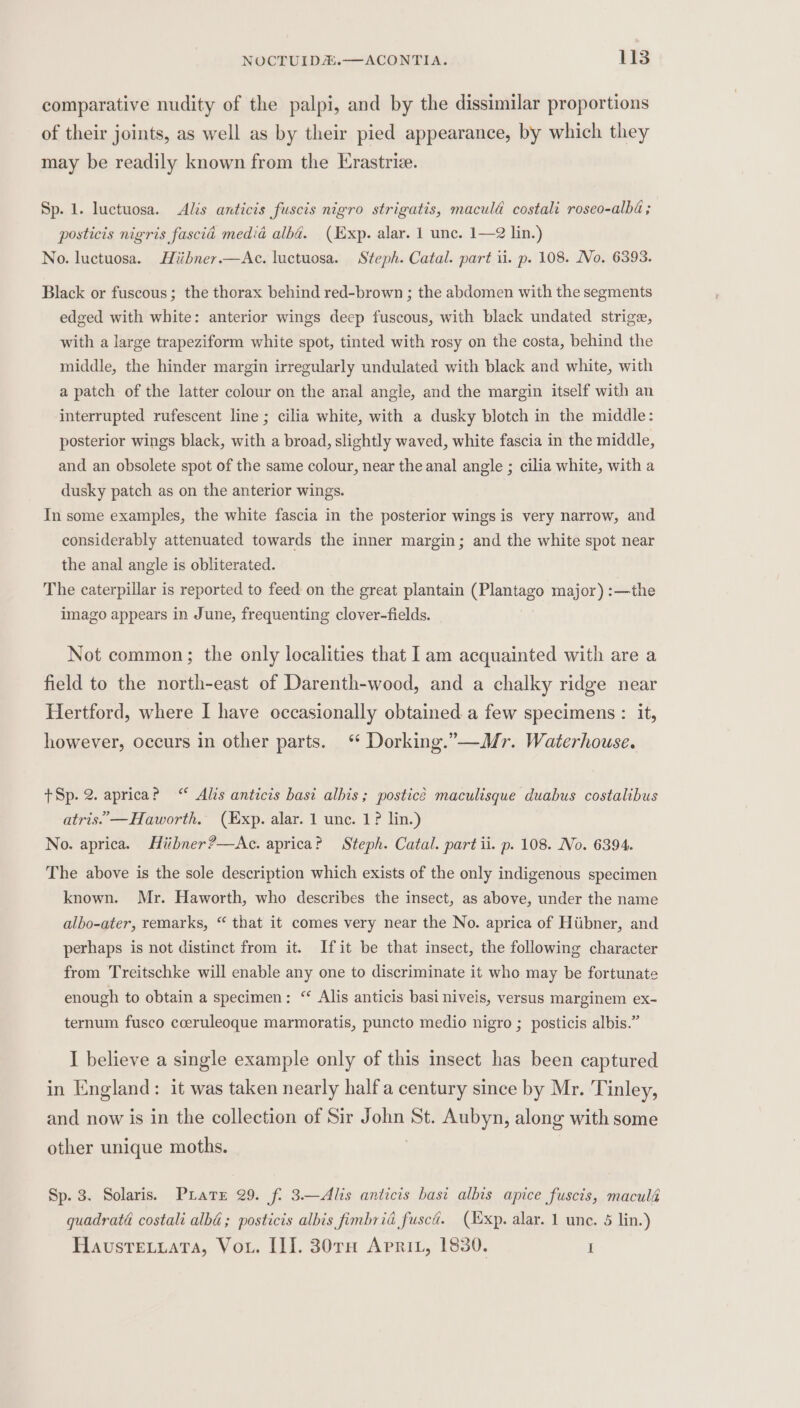 comparative nudity of the palpi, and by the dissimilar proportions of their joints, as well as by their pied appearance, by which they may be readily known from the Erastriz. Sp. 1. luctuosa. Alis anticis fuscis nigro strigatis, macula costali roseo-alba; posticis nigris fascia media alba. (Exp. alar. 1 unc. 1—2 lin.) No. luctuosa. Hiibner.—Ac. luctuosa. Steph. Catal. part ii. p. 108. No. 6393. Black or fuscous ; the thorax behind red-brown ; the abdomen with the segments edged with white: anterior wings deep fuscous, with black undated strige, with a large trapeziform white spot, tinted with rosy on the costa, behind the middle, the hinder margin irregularly undulated with black and white, with a patch of the latter colour on the anal angle, and the margin itself with an interrupted rufescent line ; cilia white, with a dusky blotch in the middle: posterior wings black, with a broad, slightly waved, white fascia in the middle, and an obsolete spot of the same colour, near the anal angle ; cilia white, with a dusky patch as on the anterior wings. In some examples, the white fascia in the posterior wings is very narrow, and considerably attenuated towards the inner margin; and the white spot near the anal angle is obliterated. The caterpillar is reported to feed. on the great plantain (Plantago major) :—the imago appears in June, frequenting clover-fields. Not common; the only localities that [am acquainted with are a field to the north-east of Darenth-wood, and a chalky ridge near Hertford, where I have occasionally obtained a few specimens : it, however, occurs in other parts. ‘ Dorking.”—Mr. Waterhouse. +Sp. 2. apricae “ Alis anticis basi albis ; posticé maculisque duabus costalibus atris.’—Haworth. (Exp. alar. 1 unc. 1? lin.) No. aprica. Hiibner?—Ac. aprica? Steph. Catal. part ii. p. 108. No. 6394. The above is the sole description which exists of the only indigenous specimen known. Mr. Haworth, who describes the insect, as above, under the name albo-ater, remarks, “ that it comes very near the No. aprica of Hiibner, and perhaps is not distinct from it. Ifit be that insect, the following character from Treitschke will enable any one to discriminate it who may be fortunate enough to obtain a specimen: “ Alis anticis basi niveis, versus marginem ex- ternum fusco cceruleoque marmoratis, puncto medio nigro ; posticis albis.” I believe a single example only of this insect has been captured in England: it was taken nearly half a century since by Mr. Tinley, and now is in the collection of Sir John St. Aubyn, along with some other unique moths. Sp. 3. Solaris. Pirate 29. f. 3—Alis anticis basi albis apice fuscis, macula quadraté costali alba; posticis albis fimbria fusca. (Exp. alar. 1 une. 5 lin.) Havustetxiata, Vou. II]. 30TH Apri, 1830. I