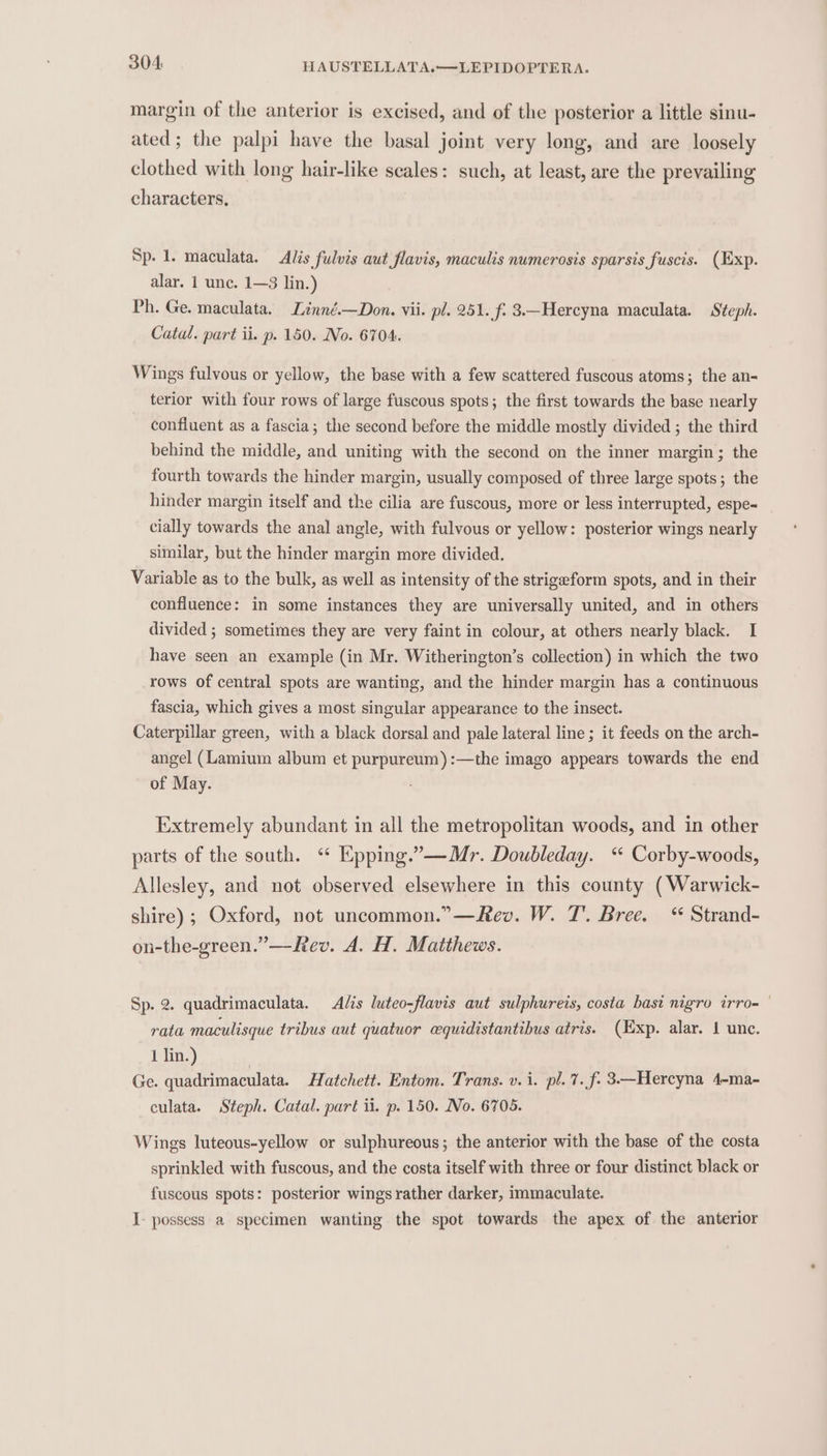 margin of the anterior is excised, and of the posterior a little sinu- ated; the palpi have the basal joint very long, and are loosely clothed with long hair-like scales: such, at least, are the prevailing characters, Sp. 1. maculata. Alis fulvis aut flavis, maculis numerosis sparsis fuscis. (Exp. alar. 1 unc. 1—3 lin.) Ph. Ge. maculata. Linné.—Don. vii. pl. 251. f. 3.—Hercyna maculata. Steph. Catal. part ii. p. 150. No. 6704. Wings fulvous or yellow, the base with a few scattered fuscous atoms; the an- terior with four rows of large fuscous spots; the first towards the base nearly confluent as a fascia; the second before the middle mostly divided ; the third behind the middle, and uniting with the second on the inner margin; the fourth towards the hinder margin, usually composed of three large spots; the hinder margin itself and the cilia are fuscous, more or less interrupted, espe= _ cially towards the anal angle, with fulvous or yellow: posterior wings nearly similar, but the hinder margin more divided. Variable as to the bulk, as well as intensity of the strigeform spots, and in their confluence: in some instances they are universally united, and in others divided ; sometimes they are very faint in colour, at others nearly black. I have seen an example (in Mr. Witherington’s collection) in which the two rows of central spots are wanting, and the hinder margin has a continuous fascia, which gives a most singular appearance to the insect. Caterpillar green, with a black dorsal and pale lateral line ; it feeds on the arch- angel (Lamium album et purpureum) :—the imago appears towards the end of May. : Extremely abundant in all the metropolitan woods, and in other parts of the south. ‘“ Epping.’—Mr. Doubleday. ‘ Corby-woods, Allesley, and not observed elsewhere in this county (Warwick- shire) ; Oxford, not uncommon.”—Rev. W. T. Bree. “ Strand- on-the-green.”—Rev. A. H. Matthews. Sp. 2. quadrimaculata. Adis luteo-flavis aut sulphureis, costa basi nigro irro= — rata maculisque tribus aut quatuor cequidistantibus atris. (Exp. alar. 1 unc. 1 lin.) Ge. quadrimaculata. Hatchett. Entom. Trans. v.i. pl. 7. f: 3—Hercyna 4-ma- culata. Steph. Catal. part ii. p. 150. No. 6705. Wings luteous-yellow or sulphureous; the anterior with the base of the costa sprinkled with fuscous, and the costa itself with three or four distinct black or fuscous spots: posterior wings rather darker, immaculate. I- possess a specimen wanting the spot towards the apex of the anterior