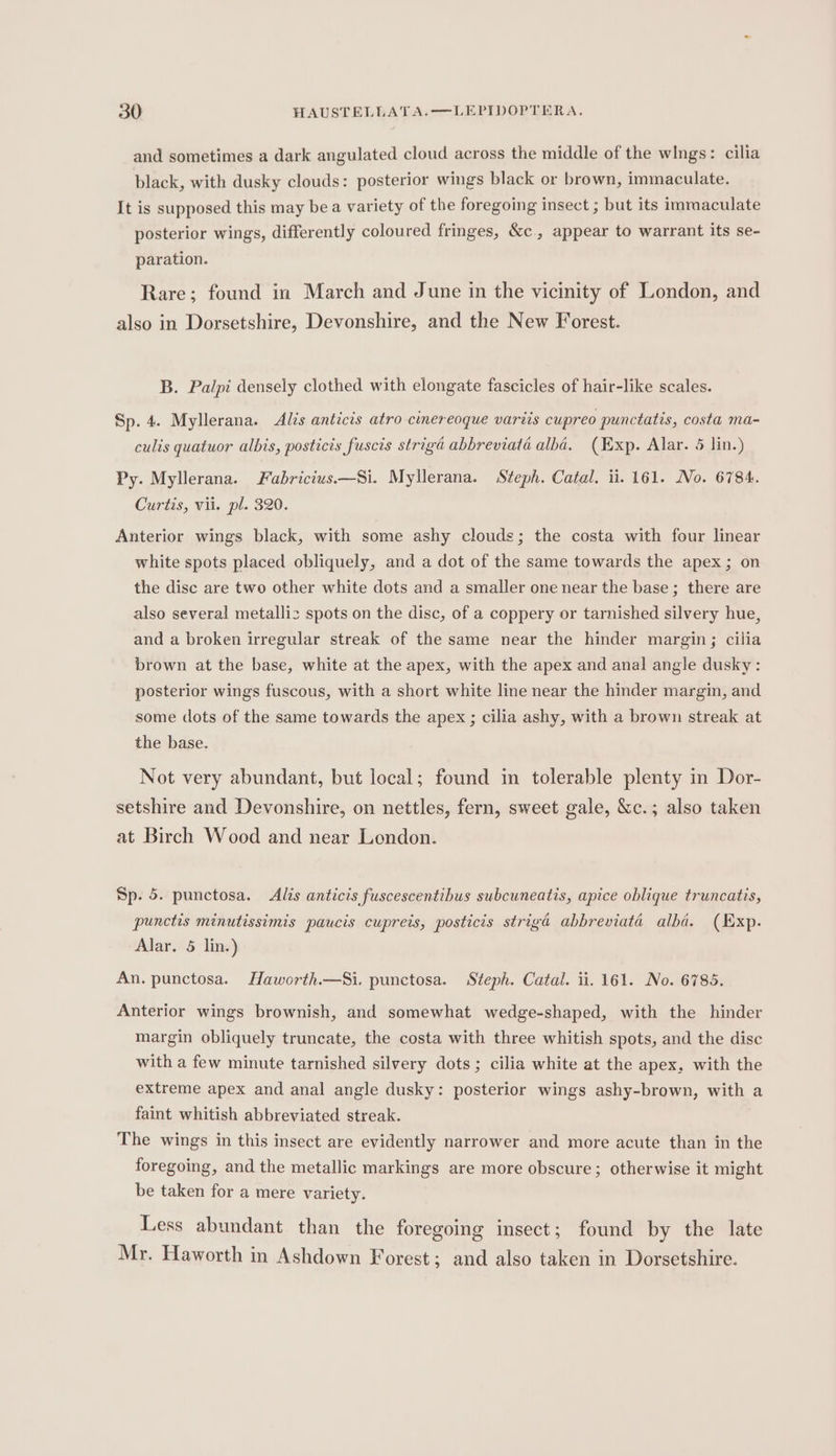 and sometimes a dark angulated cloud across the middle of the wings: cilia black, with dusky clouds: posterior wings black or brown, immaculate. It is supposed this may be a variety of the foregoing insect ; but its immaculate posterior wings, differently coloured fringes, &amp;c., appear to warrant its se- paration. Rare; found in March and June in the vicinity of London, and also in Dorsetshire, Devonshire, and the New Forest. B. Palpi densely clothed with elongate fascicles of hair-like scales. Sp. 4. Myllerana. Alis anticis atro cinereoque variis cupreo punctatis, costa ma- culis quatuor albis, posticis fuscis striga abbreviata alba. (Exp. Alar. 5 lin.) Py. Myllerana. Fabricius.—Si. Myllerana. Steph. Catal. ii. 161. No. 6784. Curtis, vii. pl. 320. Anterior wings black, with some ashy clouds; the costa with four linear white spots placed obliquely, and a dot of the same towards the apex; on the disc are two other white dots and a smaller one near the base; there are also several metallis spots on the disc, of a coppery or tarnished silvery hue, and a broken irregular streak of the same near the hinder margin; cilia brown at the base, white at the apex, with the apex and anal angle dusky: posterior wings fuscous, with a short white line near the hinder margin, and some dots of the same towards the apex ; cilia ashy, with a brown streak at the base. Not very abundant, but local; found in tolerable plenty in Dor- setshire and Devonshire, on nettles, fern, sweet gale, &amp;c.; also taken at Birch Wood and near London. Sp. 5. punctosa. Alis anticis fuscescentibus subcuneatis, apice oblique truncatis, punctis minutissimis paucis cupreis, posticis striga abbreviata alba. (Exp. Alar. 5 lin.) An. punctosa. Haworth.—Si. punctosa. Steph. Catal. li. 161. No. 6785. Anterior wings brownish, and somewhat wedge-shaped, with the hinder margin obliquely truncate, the costa with three whitish spots, and the disc with a few minute tarnished silvery dots; cilia white at the apex, with the extreme apex and anal angle dusky: posterior wings ashy-brown, with a faint whitish abbreviated streak. The wings in this insect are evidently narrower and more acute than in the foregoing, and the metallic markings are more obscure; otherwise it might be taken for a mere variety. Less abundant than the foregoing insect; found by the late Mr. Haworth in Ashdown Forest; and also taken in Dorsetshire.