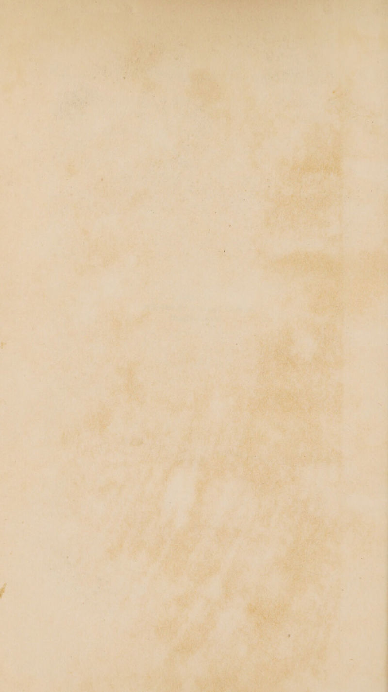 4 a ie v3 b aid ack ‘ 2o A