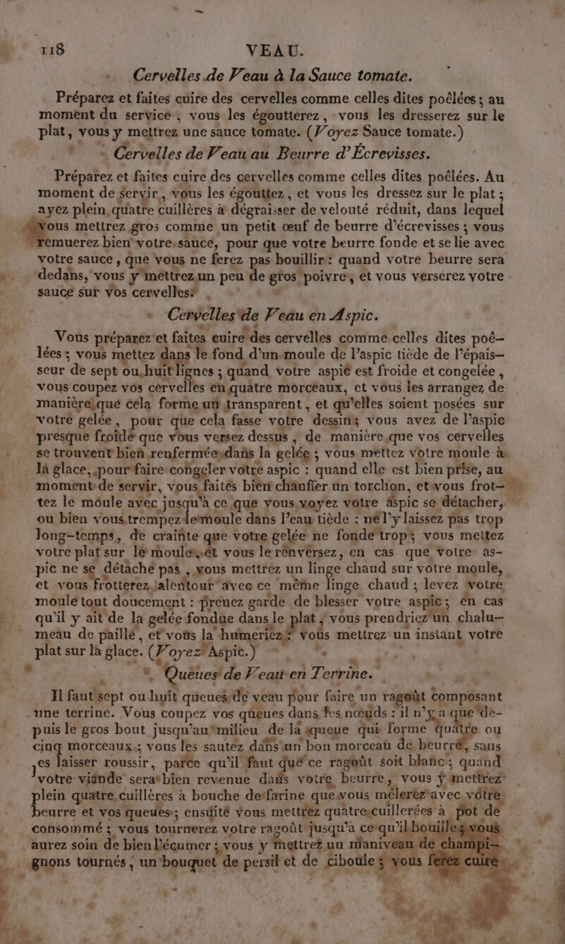 + Cervelles.de Veau à la Sauce tomate. Préparez et faites cuire des cervelles comme celles dites poëlées ; au moment du service , vous les égoutterez, vous les dresserez sur le plat, vous y mettrez une sauce tomate. (f’oyez Sauce tomate.) ES Cervelles de Veau au Beurre d’Écrevisses. Préparez et faites cuire des cervelles comme celles dites poélées. Au moment de Servir, vous les égouttez, et vous les dressez sur le plat ; ayez plein quatre cuillères &amp; dégraïsser de velouté réduit, dans lequel L mettrez gros comme un petit œuf de beurre d’écrevisses ; vous remuerez bien votre.sauce, pour que votre beurre fonde et se lie avec votre sauce , que vous ne ferez pas bouillir: quand votre beurre sera dedans, vous yméttrezun peu de gfos'poivre, et vous versérez votre sauce sur vos cervelles® . +. * Cemvelles'de Veau en Aspic. Vous préparez'et faites cuire des cervelles comme-celles dites poé- lées: vous mettez gens le fond d’un.moule de l’aspic tiède de l’épais- seur de sept ou.huit lignes ; quand votre aspi€ est froide et congelée , vous coupez vos cérvelles enquatre morceaux, ct vous les arrangez de manièrekqué Céla forme ut transparent , et qu’elles soient posées sur votre gelée, ou que cela fasse votre dessins vous avez de l’aspie . presque froïde que vous versez dessus , de manière.que vos cervelles + se trouvent bien renferméesdans la gelée ; vous mettez votre moule à . lä glace, pourtfaire cohgeler votre aspic : quand elle est bien prise, au moment de servir, vous, faités bien chäufier un torchon, etwous frot- tez le moule avec jusqu’à ce que yous,voyez votre äspic se détacher, ou bien vous trempezdemoule dans l’eau tiède : nél'y laissez pas trop Jong-temps, de craiñte que votre gelée ne fondetrops vous mettez votre plat sur le moules.ét vous lerénvérsez, en cas que voire as- pic ne se détache pas ,.Mous mettrez un nee chaud sur votre moule, et vous frotterez.jaleñtour avec ce même linge chaud ; levez wotre moulé tout doucement : prenez garde de blesser votre aspic ; én cas - qu’il y ait de la gelée fondue dans ep ; VOUS prendriez'un chalu 27 _ meau de paillé, et voñs la humeriezf voüs mettrez un insiant votre si SA D 4 L Kiss sur la her: Qi Qye 2 pie.) pu: gite) ; . Queues de F eait en T errine.. De Il faut sept ou huit queues dé veau pour faire un ragoût composant -une terrine. Vous coupez vos qüeues dans fes nœuds : il n’gja ucde- puis le gros bout jusqu’au*milicu de là squeue qui pme Age ou cinq morceaux; vous les sautez dans æn bon morceau de beurré, sans JS laisser roussir, parce qu'il faut qué'ce ragoût soit blañc; quand votre viände serathien revenue das votre beurre, vous ÿ mcttrez” plein quatre, cuillères à bouche detfarine quewous mélerèravec. vôtre, beurre et vos queues; ensdité Vous mettrez quatrescuillerées à pot dé | consommé ; vous tourmerez votre ragoüt Jusqu'à cequ'ilboui rous&amp; aurez soin de bien l’écumer jvous y Mettre? un maniveau € . gnons tournés, un‘bouquet de persil et de Ébete gas 0 À « &gt; &amp; à si : ’ | P 1 L: : | p. DT | à ds .#