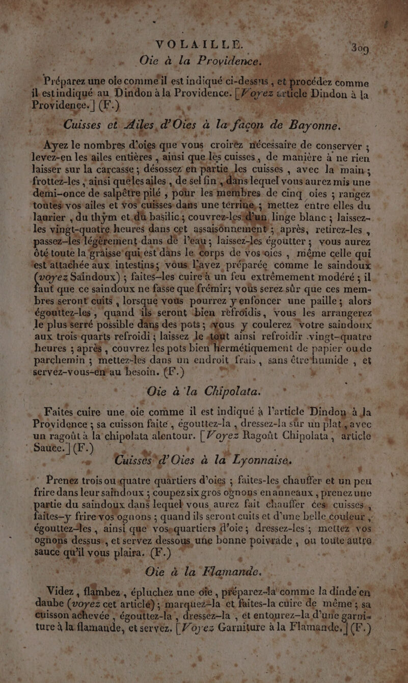 AE ROMAN PS D AR CNT + Dar are 2 a” SL Le ; L ] ? Ë | ’ _ L Er &lt; : | VOLATE LE *. 142%  r … Oic à la Providence!  ‘Æ Providence. | (F.) Le D MS 8 4 ï 2 en PR : à Cuisses et Ailes, d’Oies d le facon de Bayonne. Ayez le nombres d’oies que vous croirëz nécessaire de conserver ; À levez-en les ailes entières , ainsi que-lés cuisses, de manière à ne rien laisser sur la carcasse ; désossez en partie les cuisses , avec la main; frottez-les ; ainsi quêles ailes , de sel fin,.dans lequel vous aurez mis une demi-once de salpêtre pilé ; pour les membres de cinq oies ; rangez touteg vos’ailes et Vos cuisses: dans une térr ne,; mettez entre elles du laurier , du thÿm et.dû basilic; couvrez-lestdun linge blanc ; laissez les vingt-quatre heures dans cet assaisônnement ; après, retirez-les , b pass tient dans dè l’eau ; laissez-les égoutter ; vous aurez Ôté toute la 'graisse’quiést dans le Corps de vosroics , même celle qui fest'attachée aux intestins; vous. Lavez préparée comme le saindoux : (arez Saindoux) ; faites-les cuire‘à un feu extrêmement modéré ; il aut que ce saindoux ne fasse que frémir; vous serez. sûr que ces mem- | bres seront cuits , lorsque voüs pourrez yenfoncer une paille; alors égouttez-les, quand äls seront ‘bien refroïdis, vous les arrangerez , le pluserré possible dans des pots ; due y coulerez votre saindoux aux trois quarts refroidi ; laissez Je atout ainsi refroidir .vingt-quatre heures ; après , couvrez les pots bien hermétiquement de papier oude # parchemin ; mettez-les dans un endroit frais , sans étrehumide ; et servéz-vous-enau besoin. (F.) pes AN ALP BUT | * .. Oie à la Chipolata! * 4e NE PR . + » ‘se . Q ans ° ms ï Fr. à . Faites cuire une oie comme il est indiqué à l’article Dindou. à Ja Ë. Providence ; sa cuisson faite, égouttez-la , dressez-la sûr un plat, avec . ragoût SU cou [Foyez Ragoût Chipolata , article ‘ Saüte. | (F. Er GS » R STATE ; AA + Cuisses a’ Oies à la Lyonnaise. , | 4 AU ' *: Prenez trois ouiquatre quartiers d’oies ; faites-les chauffer et un peu frire dans leur saïndoux ; coupezsix gros obnons enanneaux ; preuezune artie du saindoux dans lequel vous aurez fait chauffer ées cuisses, aites-y frire-vos ognons ; quand ils seront cuits et d’une belle couleur; + ©”; égouttez-les , ainsi que’ vosequartiers d’oie; dressez-les'; mettez vos _oghons dessus», et servez dessous, une bonne poiwade, ou toute autre Ë | ‘ | auc | di 4 . RA 2 : M DE 4 “eq il Vus pas Œ ) 15 à r e. - ù  FER #* Oùïe à la Klamande. . Videz , flimbez , épluchez une de , pféparez-la'comme la dinde'en ‘#4 daube (voyez cet articlé) eue ét faites-la cüire de même’; sa ! de. © WE , Se CE ne. e 2 cuisson achevée , égouttez-la , dresséz-la , ét entourez-la d’urie TS ture à la flamande, et servez. [ oyez Garniture à la Flamande; |(F.) . y % , 4 v or. : “ . A à , ds.