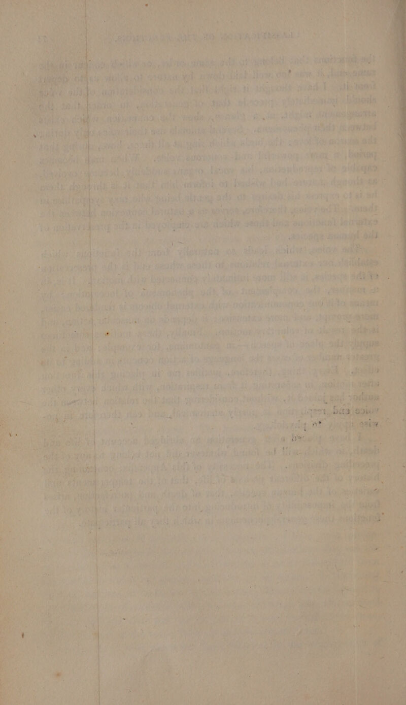 ei ADE a Sree Ashi. ay , 83 ion ‘leet. be ‘Bei Hi fontainin , Ee emits, arouly ort oacuiulot feavalew. asa. Hailed Atte pier obinery eudmallinh out HI i ainee adit” |: Getta | adit, Wes Taasaatqen oy col pe ene eh ae he mnphagy dipbee: QUE ONIN | sail wi Sok aes iy pea no, “e ws re REINS: TOR beste shyt ; Pe piigce, gaily cqldamelic xtnoinpun cost? aul he aetna i ‘ a ue ith, pesmi 4, eis a 48 anna lis obs. Ae ea dia at Ps savant. ab gyaien uy alia , diaalty: ae ia, andiiiaue, ne bors dy ogi) 1 ilelvd, Altos ‘oisriqeys, wit pie BAUER OA, ty a : A eit Hie ogi ies ee ag Ta ath Ope A us sohada ea i ‘siya ast ae se Re bi ss pak Te ; analid, ait, Aib.avenn AAA 3 paki: in te iti'o a pea ta é a Ge? ABih oul. NO ee ee tsa | Sere ee cs Cm bi id Rods pisespribeaegtay BY: aa dea ci nd naga elieie: cm ;