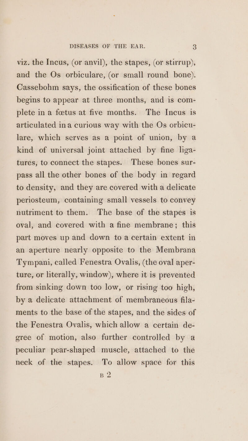 viz. the Incus, (or anvil), the stapes, (or stirrup), and the Os orbiculare, (or small round bone). Cassebohm says, the ossification of these bones begins to appear at three months, and is com- plete in a foetus at five months. The Incus is articulated ina curious way with the Os orbicu- lare, which serves as a point of union, by a kind of universal joint attached by fine liga- tures, to connect the stapes. These bones sur- pass all the other bones of the body in regard to density, and they are covered with a delicate periosteum, containing small vessels to convey nutriment to them. The base of the stapes is oval, and covered with a fine membrane; this part moves up and down to a certain extent in an aperture nearly opposite to the Membrana Tympani, called Fenestra Ovalis, (the oval aper- ture, or literally, window), where it is prevented from sinking down too low, or rising too high, by a delicate attachment of membraneous fila- ments to the base of the stapes, and the sides of the Fenestra Ovalis, which allow a certain de- gree of motion, also further controlled by a peculiar pear-shaped muscle, attached to the neck of the stapes. To allow space for this B2