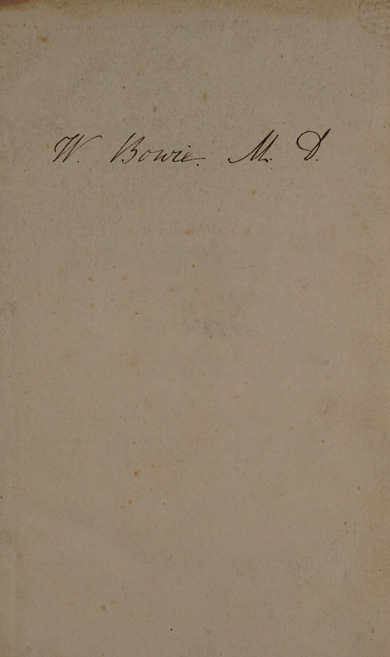 t “ R ae So FS : &gt; = Ft i r r roe 4 F : ‘ . it y * \ &amp; ‘ ' ‘ , , + e Ls 41 + ; 7 Ty +e , f. 4 4 ws Ss r r % “ye 3 Mi , { “ , 4 =r q Y - ac 2 ‘ \ “ n ad = i 4 . At j : . 2 , e : ; 2 2 Fs =n « hy , M x5 haar - 4 . &gt; 1 : vat, é . ; a : a 25 F . - - ‘ j . . , * : \ ‘ et ; 7 q z ‘ * : - ; &gt; : ‘ f - ; + 3 : : = ; * ’ ; 2 : ; : ? a ; ’ aA | 7 ; \ i ‘ Z ‘e &amp; ‘. ‘ c . ‘ ~ : : ~~ ‘ : . $3 : fe ‘ ¥ r, . , : * ” , 3 2 r. ¥ : 4 a . fee : a ai ‘ i } : : 3 . Ns . t a: ee -  t . - y ca ¢ : ea ; % om 3 &lt;a ‘ al .