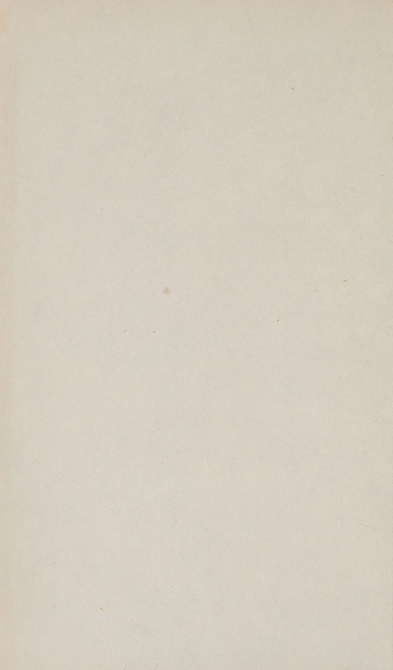 ~ ety he eee Pe ae i, ee Ley -