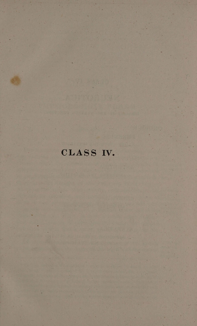CLASS Iv.