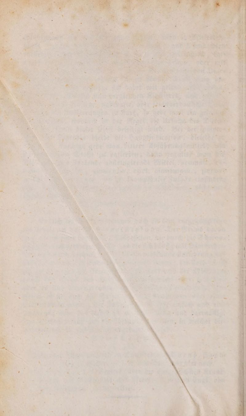 2 N — * 3 Fahr . gran a | ER ER 5 OS len F ert, ER CCC F 3 r ebe me ee 5 end Met, Ve e e * e en et ehen It Wird Ney der en ee bat Felde wi Hat Race; ei * W geen mas, Fütter⸗ BIER ap un REN Ka „e een ae ee nen eite aden rear” Mutel, ro ER * 99 eßer tl. “ Nr 1 N N. e ae ELISE ER e D 9 1 2 1 5 8 N 4 FR Ar r “ n * 82 4. 5 1 * * e — wa on { * v La 8 © ‘ 24 a. NW W ö N 1 7 I. > ‘9 0 re = a. „ > — . Sa 8 &amp; * — | nd b dei In Ges var Sr : Le N Wirte rien Eee 0 a * 3 x — 4 — Pr . 8 55 7 er Merten, 21 des >} Ne der 8 8 N rr dee bee Banebe * N 25 2 2 u 5 47 0 . * „ 8 . P N Aa * ” * Ar 3 1 * „ 24! > * r vw 3. 7% ws 4 4 N 8 1 N a * rn INH * 8 „ * ei. a ER a . 1 * h N * . 4 Pr 74 * % * Dir IR * * * 2 wer 8 4 a - tu „„ DIENT Sr er ie 8 * e 4 * 7 0 a 4: > 7 1 d Ei. eat r e S 3.4” . N e er 8 7% Nie. N 8 N 20 e 8 n geh * S * . an = Mi 2% 125 n e 8 N 55 n . PU Ur 008 ie, u 3 ur 8 80 8 . 3 ar f e - N 1 2 . 1 : p 1 — 5 1 5 8 7 1 uf U De 1 *