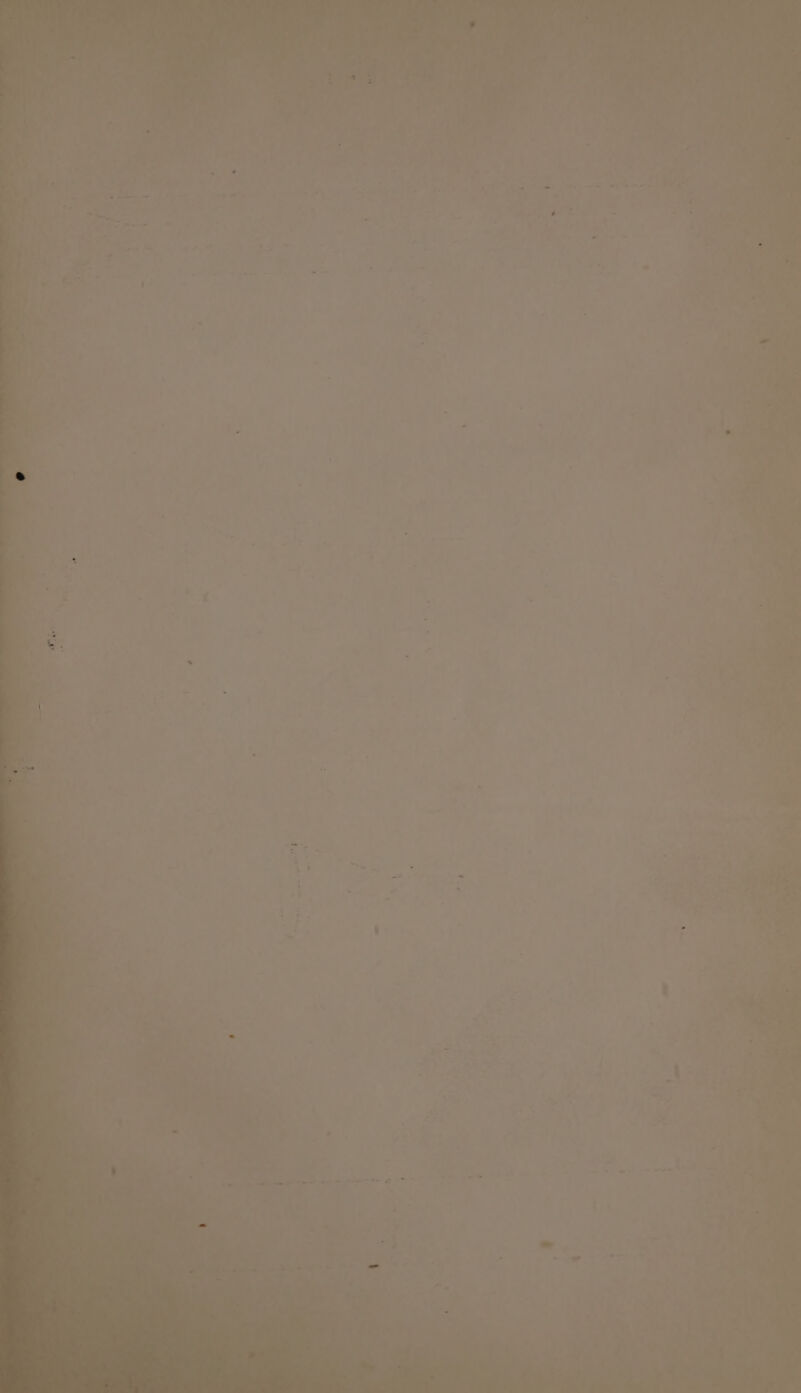 ; i si 4 iif Pe — t hee . ae Ass 2