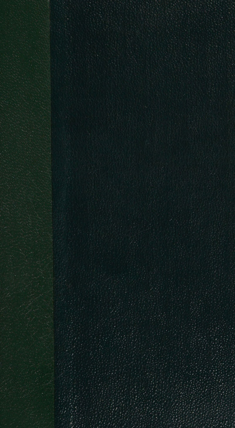 ae ers wey * Wty 4 Vee ae % — xt ha