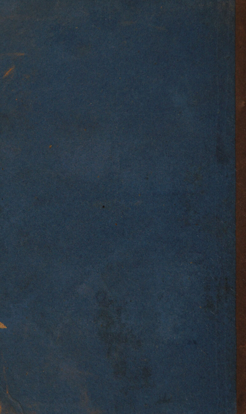 . , y 7 4 “ ; j a b 4 F ; ; ‘y /, \ : %