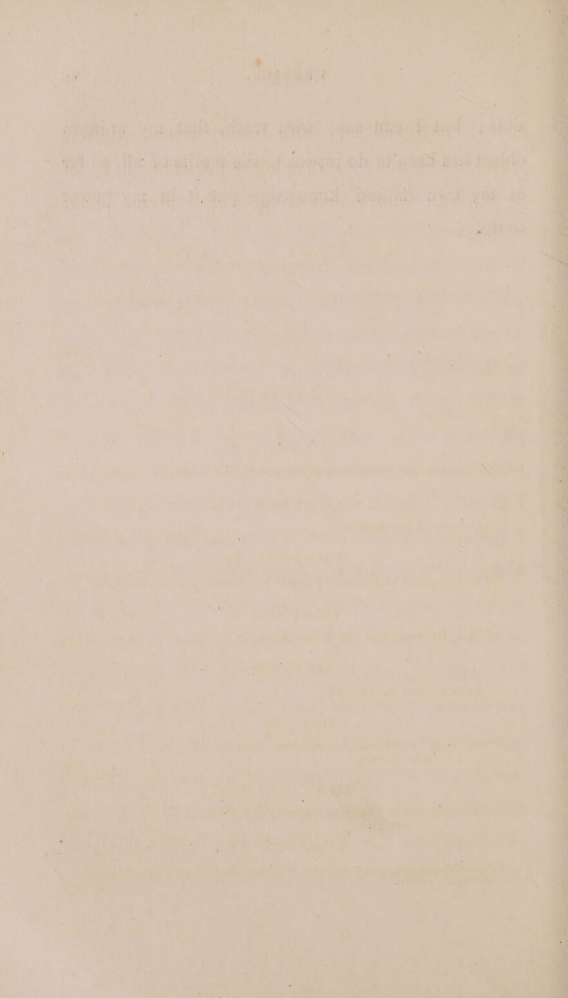 aes ; emp Soe > | = iy. st ities “ania Kaet ‘eahilia: ag fla 4a sing ania ob ga a tot ree wi Bit, bag ~ intake steel tiudteae ae | on ae i ides Cee ie Mee hb an | ie hy, Peaks “salteon| / &amp; r n ; ’ Mi Mad a ’ . = — ‘ F < ; | &amp; F i Ais  . yy as | | ’ ar a i / un X ~ : , ae ' ee ' ey ' ‘ my ‘@ ‘7 ; BP uk é t : St eat er ‘ i snes Sin, Ly Se ; te wt 7. eo ee oe + oh wh ( pe OE pal i ~ rs! hy Paley if ue Oe te a  Be \y wi) + wir ct bay ¥ al : ‘ : 7 ib ‘ 1 a ; « ‘ ae tn hn 44 1) aa ity ate 4 : | q aN ; bl * : ye ue = e458 a S's We wre . pees :