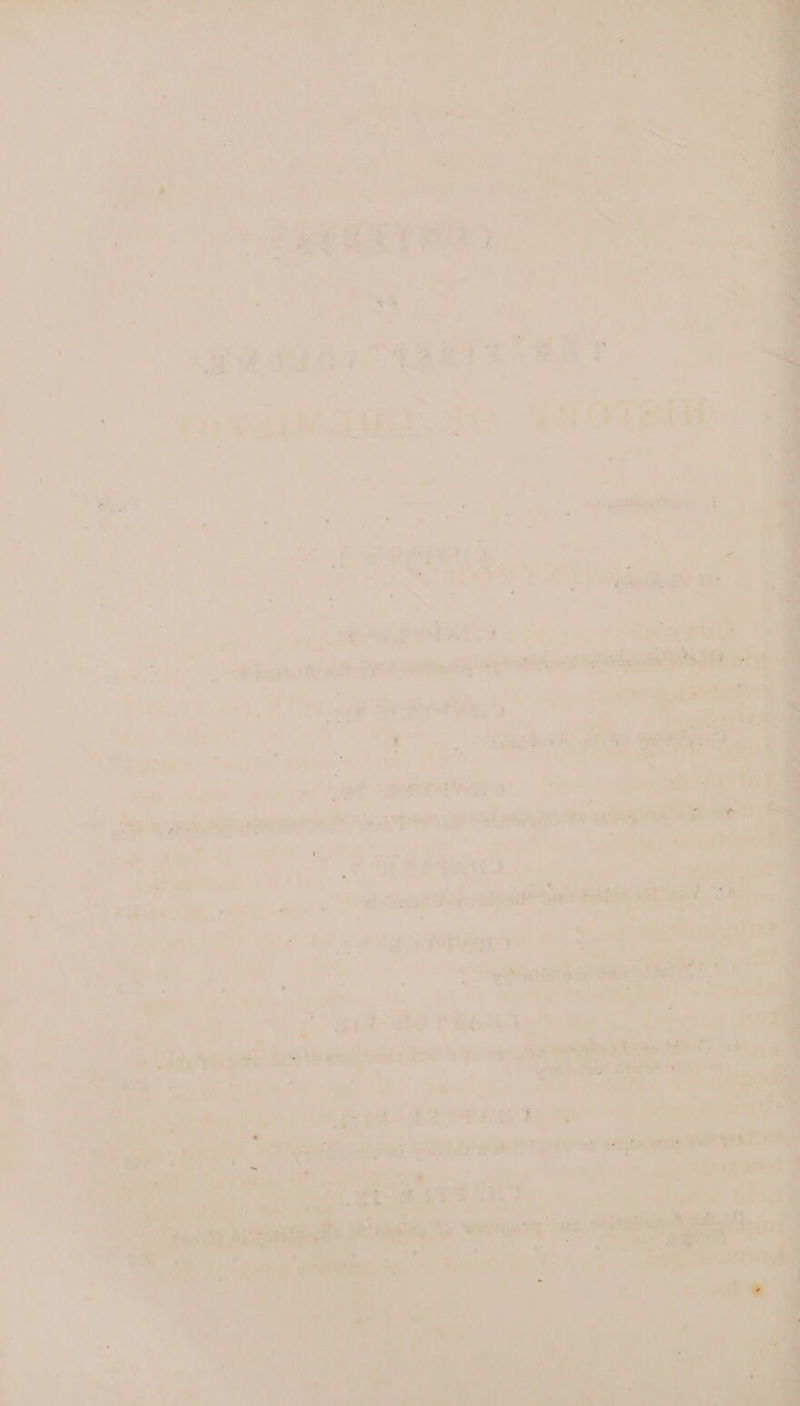 See ne REREAD? a a 9 7 pe ‘pe iy: met 6 aie &amp; * - y nN ° f eis EB AQBy TEAR ESR N a | F i ? i a eh % ed -  ' i a 4 ; 7 ere ee an © 4 - od . 7 ba a : sad - ‘ mf 2” eat Sat aL r ‘ » ae Se cls eke eee at re ot Se ; ie ; ¥ 4 ‘ z ae jist Lhd +, 8 -: yt ae hy Sab EES Pate? a PU uel a pease it sec et eet : tiie oy RPP a ae oD d a ° Gaga jue 7 » “3 es re eee a sia 7 wr ae as ad aaapoinnisnnt ld doin wae ; Gal, “ - AS oe Tye | 7 Pee ee fa site ae. ciinsn taki eaam a 7 Sh er me . tienes ec yy -_ . . . , -