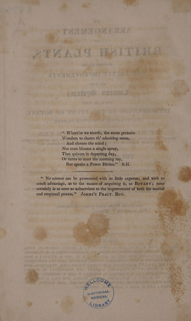 / 1 sre . TY x bP we. a | Pr ied VY h Caen se. isi J f , ae i “Tae EY AIS @' i, = » ae iw a _ XE OT AY - : 7 ye p \ | “f ‘ - j * 7 Mi P x ” o i 3 “&lt; ,ow 6M 5 : ~ poo hy ‘ uty peryey» x a + res } ' a é . EB ry ese R ** Where’er we search, the scene presents aE Wonders to charm th’ admiring sense, And elevate the minds) &amp;- Nor even blooms a single spray, - ¥ te. That quivers in departing day, Or turns to meet the morning ray, ’ But speaks a Power Divine.” S.H. certainly is at once so subservient to the cakiait tof and: bid powers.” _ Jouns’s Pract. Bor. wlan co aod 7 “h r * i “a wh ~~ * (Shar 4 say or as
