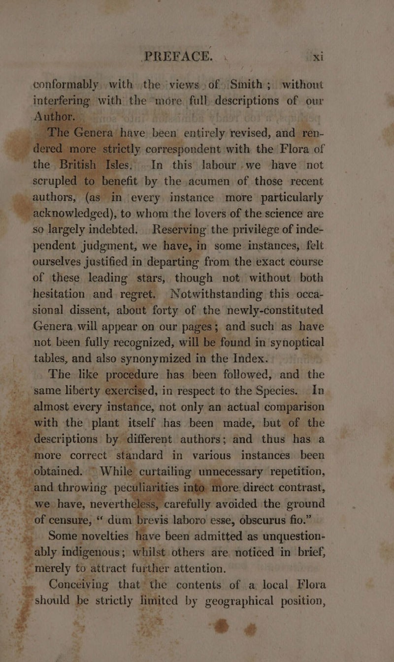 conformably.. with the ‘views. of Smith; without interfering ‘with’ the “more x full descriptions of our have been entirely biaeidea! site tly. corr espondent with the Flora of sles. In this labour.we have not ‘to benefit by the acumen of those recent authors, cob ‘every instance more particularly Wosxnowiedged), to whom the lovers of the science are | so largely indebted. Reserving the privilege of inde- pendent judgment, we have, in some instances, felt ourselves justified in departing from the exact course of these leading stars, though not without both hesitation and regret, Notwithstanding this occa- sional dissent, about forty of the newly-constituted Genera will appear on our p ves} and such as have not been fully recognized, will b be found in synoptical _ tables, and also synonymized i in i the Index. ‘ The like procedure has been followed, and the fi eypemne liberty. exerc d, in respect to the Species. In almost: every insta Rice; not only an actual comparison es - with the plant itself has been made, but: of the e lescriptions by different authors; and thus has a oe “ more correct. stan ndard in various instances. been eat obtained. while curenling unnecessary repetition, iliarities into. lore. direct contrast, “we: have, neverth less, carefully avoided the ground “Se censure, «dum brevis laboro esse, obscurus fio.” . Some novelties 1ave been admitted as unquestion- ably indigenous ; whilst others are noticed in brief, . merely fo to attract further attention. Conceiving that’ the contents of a local Flora ‘should be strictly limited by geographical position, A Se : “* eae , La #