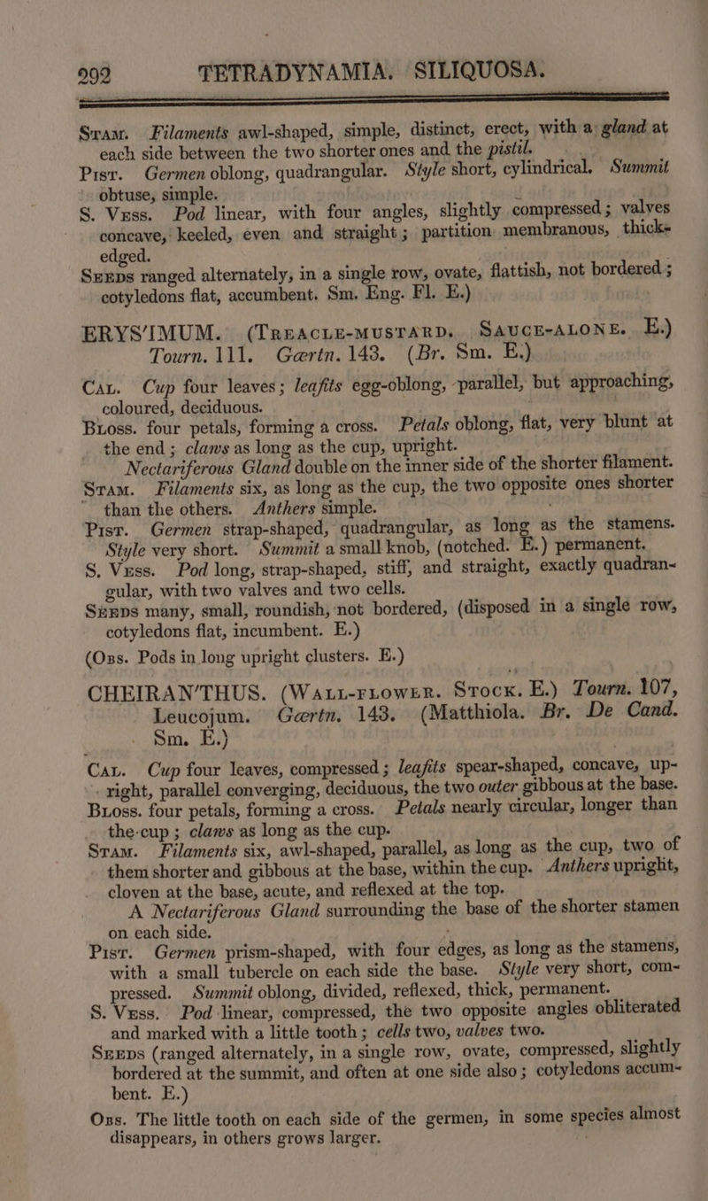 mee “ ‘a Sram. Filaments awl-shaped, simple, distinct, erect, with a: gland at each side between the two shorter ones and the pistil. Pisr. Germen oblong, quadrangular. Style short, cylindrical. Summit obtuse, simple. ? S. Vess. Pod linear, with four angles, slightly compressed ; valves concave, keeled, even and straight ; partition membranous, thick« edged. SExEpDs ranged alternately, in a single row, ovate, flattish, not bordered ; cotyledons flat, accumbent. Sm. Eng. Fl. E.) | ERYS IMUM. (Treacue-mMusrarD. SaucE-Atone. E,) Tourn. 111. Gaertn. 143. (Br. Sm. E,) Ca. Cup four leaves; leafits egg-oblong, -parallel, but approaching, coloured, deciduous. . ' Buoss. four petals, forming a cross. Petals oblong, flat, very blunt at the end ; claws as long as the cup, upright. Nectariferous Gland double on the inner side of the shorter filament. Sram. Filaments six, as long as the cup, the two opposite ones shorter - than the others. Anthers simple. Pisr. Germen strap-shaped, quadrangular, as long as the stamens. Style very short. Summit a small knob, (notched. E.) permanent. S. Vess. Pod long, strap-shaped, stiff, and straight, exactly quadran~ gular, with two valves and two cells. Sips many, small, roundish, not bordered, (disposed in a single row, cotyledons flat, incumbent. E.) (Oss. Pods in long upright clusters. E.) CHEIRAN’THUS. (WALL-FLOWER. Soot) E.) Tourn. 107, Leucojum. Gaertn, 143. (Matthiola. Br. De Cand. Sm. E.) Cav. Cup four leaves, compressed ; leafits spear-shaped, concave, up~ right, parallel converging, deciduous, the two outer gibbous at the base. Bross. four petals, forming a cross. Petals nearly circular, longer than the-cup ; claws as long as the cup. Sram. Filaments six, awl-shaped, parallel, as long as the cup, two of them shorter and gibbous at the base, within the cup. _Anthers upright, cloven at the base, acute, and reflexed at the top. A Nectariferous Gland surrounding the base of the shorter stamen on each side. Pist. Germen prism-shaped, with four edges, as long as the stamens, with a small tubercle on each side the base. Style very short, com~ pressed. Swmmit oblong, divided, reflexed, thick, permanent. S. Vess. Pod linear, compressed, the two opposite angles obliterated and marked with a little tooth ; cells two, valves two. SEEDs (ranged alternately, in a single row, ovate, compressed, slightly bordered at the summit, and often at one side also; cotyledons accum~ bent. E.) Oss. The little tooth on each side of the germen, in some species almost disappears, in others grows larger. !