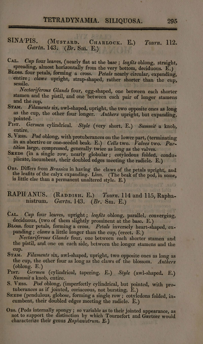 eee z . SINA’PIS. (Musrarp. Cuaruocx. EB.) Tourn. 112. Gerin. 143. (Br. Sm. E.) | 3 Cat. Cup four leaves, (nearly flat at the base ; leafits oblong, straight, spreading, almost horizontally from the very bottom, deciduous. E.) Bioss. four petals, forming a cross. Petals nearly circular, expanding, elata 3 claws upright, strap-shaped, rather shorter than the cup, sessile. Nectariferous Glands four, egg-shaped, one between each shorter stamen and the pistil, and one ‘between each pair of longer stamens and. the cup. . Sram. Filaments six, awl-shaped, upright, the two opposite ones as long as the cup, the other four longer. Anthers upright, but expanding, pointed. Pist. Germen cylindrical. Style (very short, E.) Summit a knob, entire, : S. Vuss. Pod oblong, with protuberances on the lower part, (terminating in an abortive or one-seeded beak. E.) Cells two. Valves two. Par tution large, compressed, generally twice as long as the valves. SEEDS (in a single row, nearly globular ; cotyledons folded, condu- plicate, incumbent, their doubled edges meeting the radicle. E.) | Oss. Differs from Brassica in having the claws of the petals upright, and the leafits of the calyx expanding. Linn. (The beak of the pod, in some, is little else than a permanent unaltered style. E.) RAPH’/ANUS. (Rappisu. E.) Tourn. 114 and 115, Rapha- nistrum. Gertn. 143. (Br. Sm. E.) Cat. Cup four leaves, upright; leaj/its oblong, parallel, converging, deciduous, (two of them slightly prominent at the base. E.) Buoss, four petals, forming a cross, Petals inversely heart-shaped, ex- panding ; claws a little longer than the cup, (erect. E.) Nectariferous Glands four, one between each shorter stamen and the pistil, and one on each side, between the longer stamens and the cup. Shin: Filaments six, aw]-shaped, upright, two opposite ones as long as the cup, the other four as long as the claws of the blossom. Anthers (oblong. E.) Pisr. Germen (cylindrical, tapering. E.) Style (awl-shaped. E.) Summit a knob, entire. S. Vess. Pod oblong, (imperfectly cylindrical, but pointed, with pro- _ tuberances as if jointed, coriaceous, not bursting, E SreEps (pendulous, globose, forming a single row ; cotyledons folded, in- cumbent, their doubled edges meeting the radicle. E.) Ons. (Pods internally spongy ; so variable as to their jointed appearance, as not to support the distinction by which Tournefort and Gertner would characterize their genus Raphanistrum. E.)