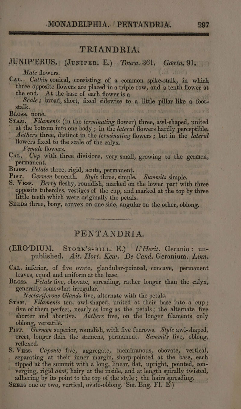 TRIANDRIA JUNIP’ERUS.; (Junieer. E.) Tourn.361, Gertn. 91, Male flowers. . Cat.- Catkin conical, consisting of a common spike-stalk, in which _ three opposite flowers are placed in a triple row, and a tenth flower at the end. At the base of each floweris a, | | Scale ; broad, short, fixed sidewise to a little pillar like a foot~ stalk. ae a Buoss. none. | Stam. Filaments (in the terminating flower) three, awl-shaped, united at the bottom into one body ; in the lateral flowers hardly perceptible. Anthers three, distinct in the terminating flowers ; but in the lateral flowers fixed to the scale of the calyx. Female tiowers. Cat, Cup with three divisions, very small, growing to the germen, permanent. Bross. Petals three, rigid, acute, permanent. Pist. Germen beneath. Style three, simple. Summits simple. S. Vess. Berry fleshy, roundish, marked on the lower part with three _ Opposite tubercles, vestiges of the cup, and marked at the top by three little teeth which were originally the petals. SrxEps three, bony, convex on one side, angular on the other, oblong. 5 PENTANDRIA. (ERO/DIUM. Srorx’s-pitu. E.) L’Herit. Geranio: un- published. Ait. Hort. Kew. De Cand. Geranium. Linn. Cau. inferior, of five ovate, glandular-pointed, concave, permanent leaves, equal and uniform at the base. | Boss. Petals five, obovate, spreading, rather longer than the calyx, generally somewhat irregular. Nectariferous Glands five, alternate with the petals. Stam. Filaments ten, awl-shaped, united at their base into a cup; five of them perfect, nearly as long as the petals; the alternate five shorter and abortive. Anthers five, on the longer filaments only oblong, versatile. Pist. Germen superior, roundish, with five furrows. Style awl-shaped, erect, longer than the stamens, permanent. Summits five, oblong, reflexed. S. Vess. Capsule five, aggregate, membranous, obovate, vertical, . separating at their inner margin, sharp-pointed at the base, each tipped at the summit with a long, linear, flat, upright, pointed, con- verging, rigid awn, hairy at the inside, and at length spirally twisted, adhering by its point to the top of the style ; the hairs spreading. SEEDs one or two, vertical, ovate-oblong. Sm. Eng. Fl. E:)