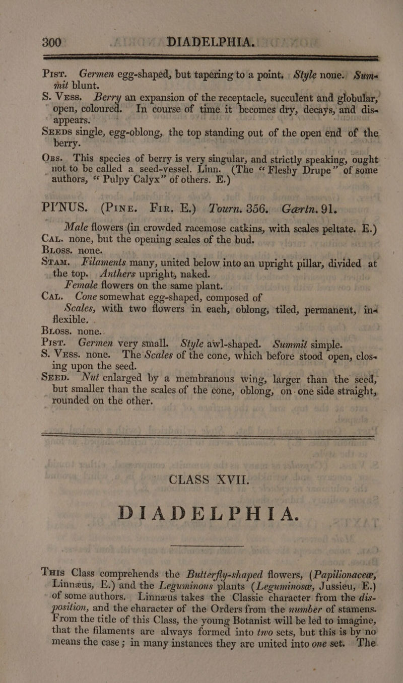 ee Pist. Germen egg-shaped, but tapering to'a point. Style none.’ Sum mit blunt. pa S. Vuss. Berry an expansion of the receptacle, succulent and globular, open, coloured. In course of time it becomes dry, decays, and dis- ‘ appears. ' . chetdey SEEDS single, egg-oblong, the top standing out of the open end of the berry. | r ky Oss. This species of berry is very singular, and strictly speaking, ought ~ not to be called a seed-vessel. Linn. (The “Fleshy Drupe” of some authors, “* Pulpy Calyx” of others. E.) ; PINUS. (Pine. Frr. E.) Tourn. 356... Gerin. 91. Male flowers (in crowded racemose catkins, with scales peltate. E.) CAL. none, but the opening scales of the bud, : Boss. none. Stam. laments many, united below into an upright pillar, divided at the top. Anthers upright, naked. Female flowers on the same plant. . Cau. Cone somewhat egg-shaped, composed of Scales, with two flowers in each, oblong, tiled, permanent, in flexible. . Buoss. none.. Pist. Germen very small. Style awl-shaped. Summit simple. S. Vess. none. The Scales of the cone, which before stood open, clos ing upon the seed. | SEEp. Nut enlarged by a membranous wing, larger than the seed, but smaller than the scales of the cone, oblong, on. one side straight,, - rounded on the other. . CLASS XVII. DIADELPHIA. Tus Class comprehends the Butterfly-shaped flowers, (Papilionacee, Linneus, E.) and the Leguminous plants (Leguminose, Jussieu, E.) ' of some authors. Linneus takes the Classic character from the dis- position, and the character of the Orders from the xwmber of stamens. From the title of this Class, the young Botanist will be led to imagine, that the filaments are always formed into ¢wo sets, but this is by no means the case ; in many instances they are united into one set. The.