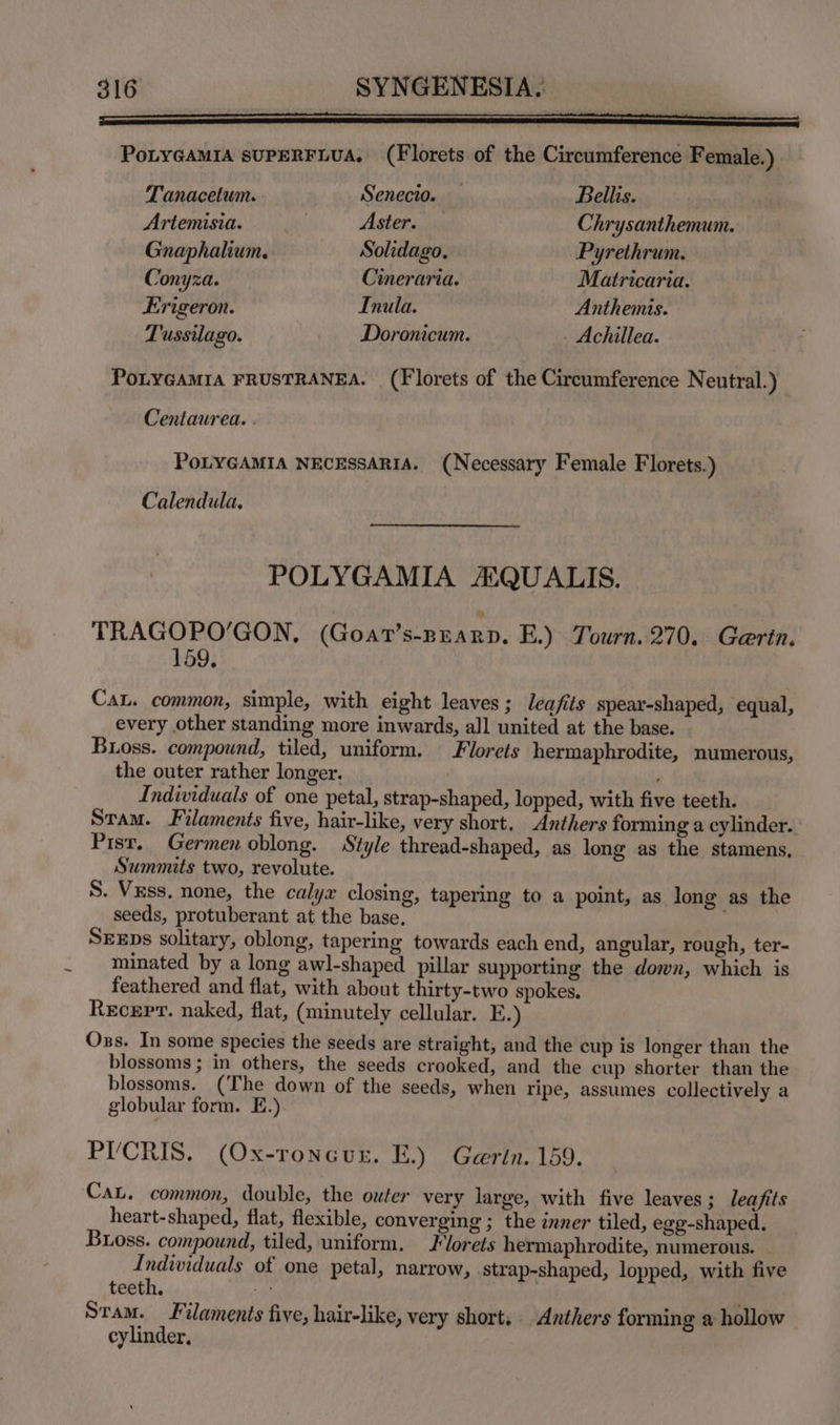 PoLYGAMIA suPERFLUA, (Florets of the Circumference Female.) Tanacetum. Senecio. — Bellis. Artemisia. sa Aster. Chrysanthemum. Gnaphalium. Solidago. Pyrethrum. Conyza. Cineraria. Matricaria. Erigeron. Inula. Anthemis. Tussilago. Doronicum. - Achillea. POLYGAMIA FRUSTRANEA. (Florets of the Circumference Neutral.) Centaurea. . PoLYGAMIA NECESSARIA. (Necessary Female Florets.) Calendula, POLYGAMIA AQUALIS. TRAGOPO’GON, (Goar’s-pearp. E.) Tourn. 270. Gaertn. 159, CaL. common, simple, with eight leaves; leajfits spear-shaped, equal, every other standing more inwards, all united at the base. Buoss. compound, tiled, uniform. Florets hermaphrodite, numerous, the outer rather longer. . Individuals of one petal, strap-shaped, lopped, with five teeth. Stam. Filaments five, hair-like, very short, Anthers forming a cylinder. Pist. Germen oblong. Style thread-shaped, as long as the stamens. Summits two, revolute. S. Vxss. none, the calyx closing, tapering to a point, as long as the seeds, protuberant at the base. SEEps solitary, oblong, tapering towards each end, angular, rough, ter- minated by a long awl-shaped pillar supporting the down, which is feathered and flat, with about thirty-two spokes. Recep. naked, flat, (minutely cellular. E.) Ons. In some species the seeds are straight, and the cup is longer than the blossoms; in others, the seeds crooked, and the cup shorter than the blossoms. (The down of the seeds, when ripe, assumes collectively a globular form. E.) PYCRIS. (Ox-roneur. E.) Gerin. 159. CaL. common, double, the outer very large, with five leaves; Jeafits heart-shaped, flat, flexible, converging ; the inner tiled, egg-shaped. Buoss. compound, tiled, uniform. Florets hermaphrodite, numerous. Individuals of one petal, narrow, strap-shaped, lopped, with five teeth. vig Stam. Filaments five, hair-like, very short. Anthers forming a hollow cylinder,
